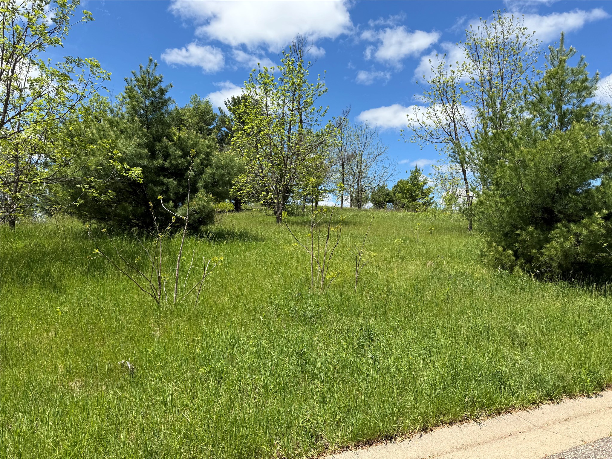 Lots 84-88 Van Buren Street Property Photo 11