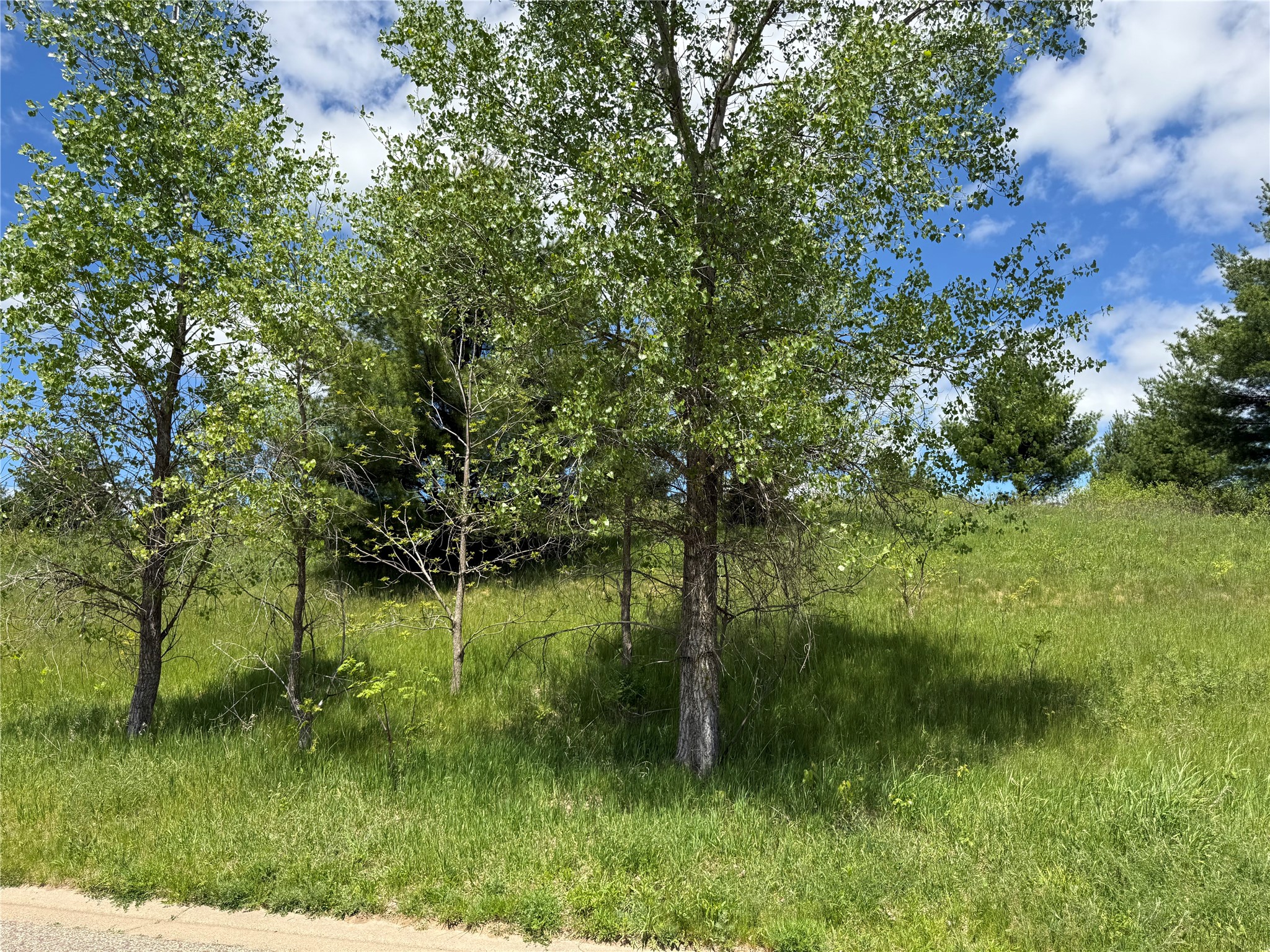 Lots 84-88 Van Buren Street Property Photo 27