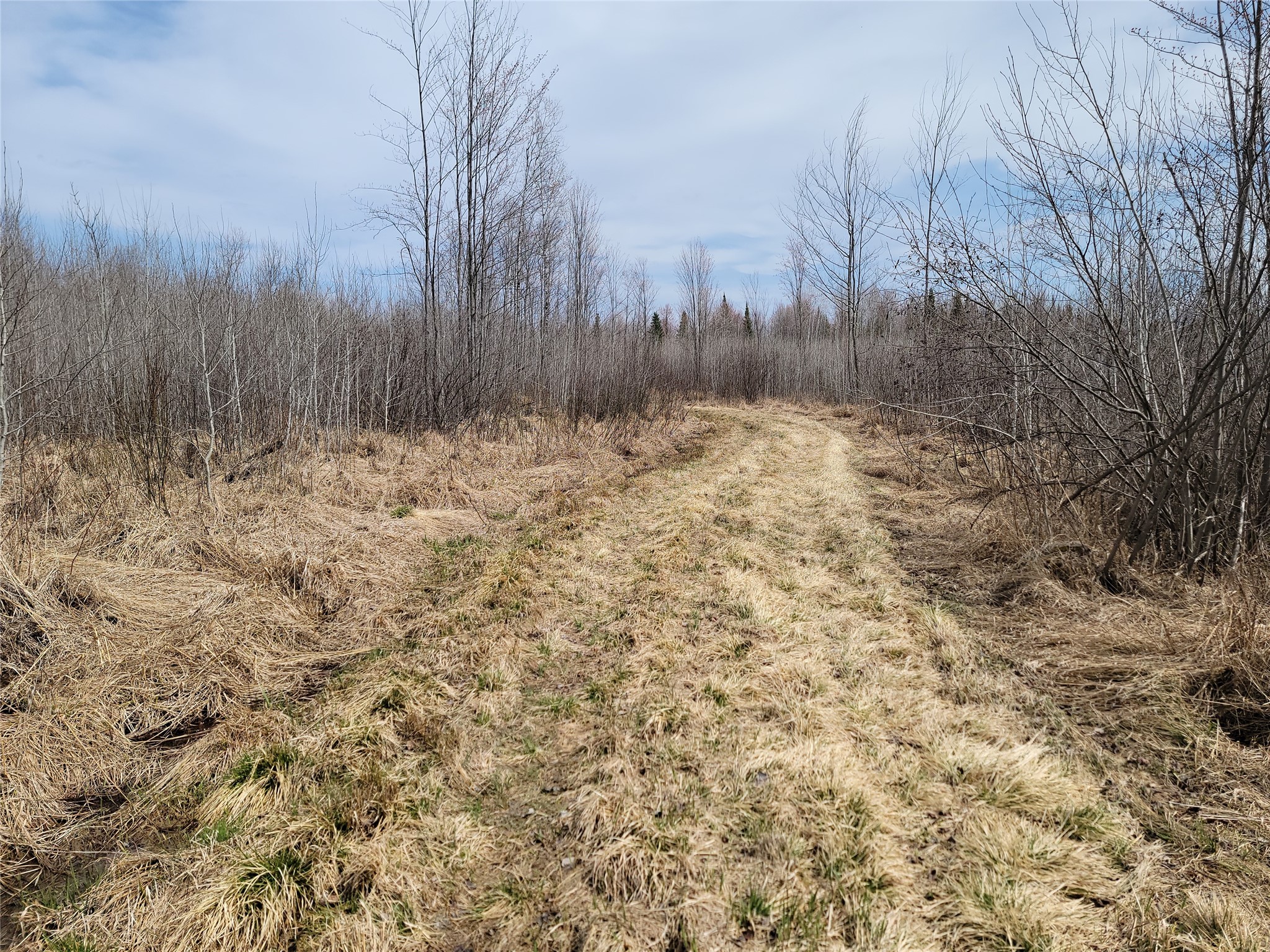 On Elderwood Road Property Photo 2