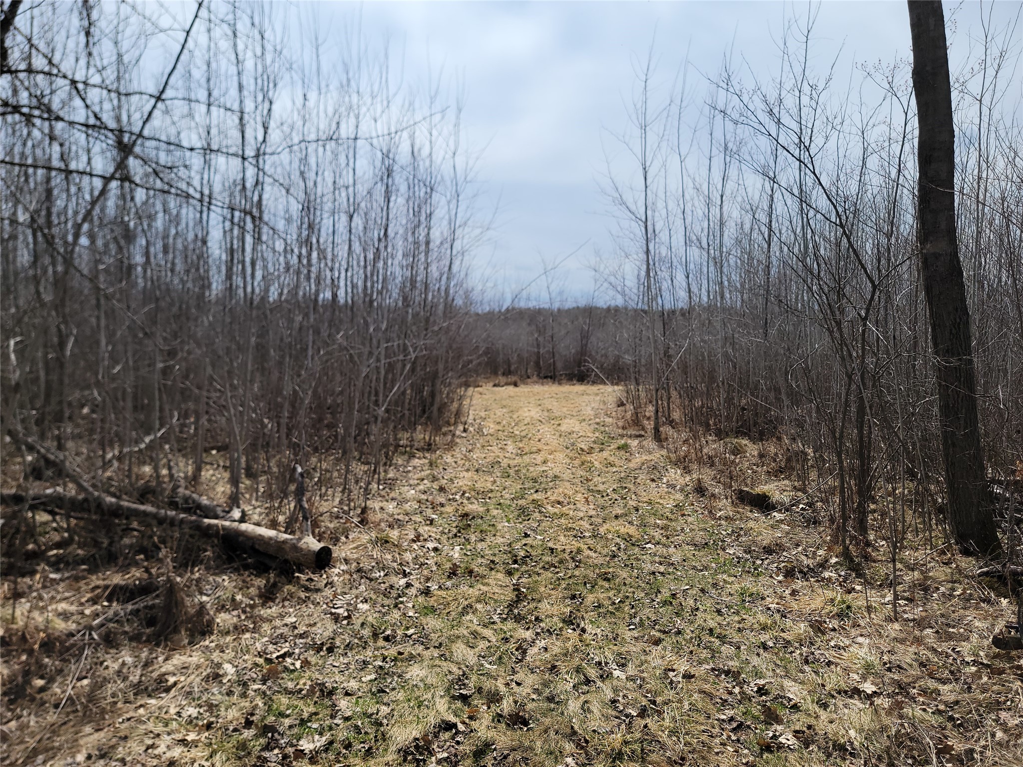 On Elderwood Road Property Photo 6
