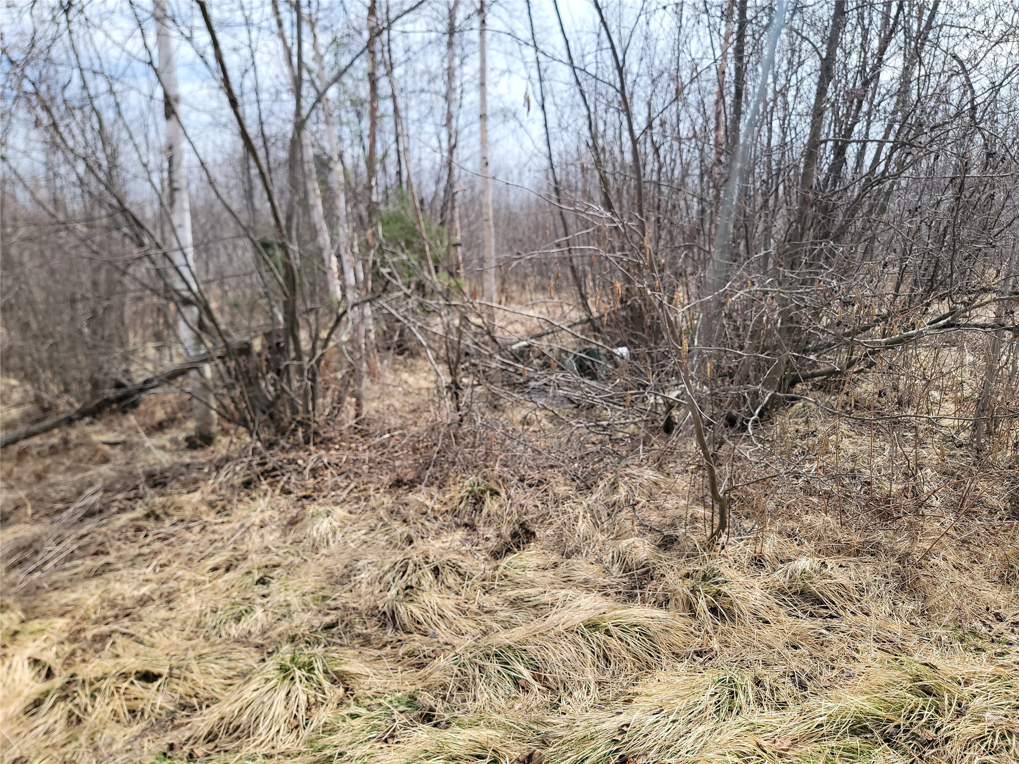 On Elderwood Road Property Photo 8