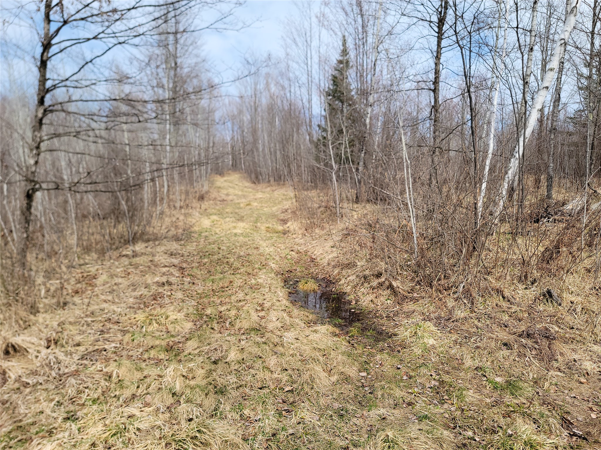 On Elderwood Road Property Photo 10