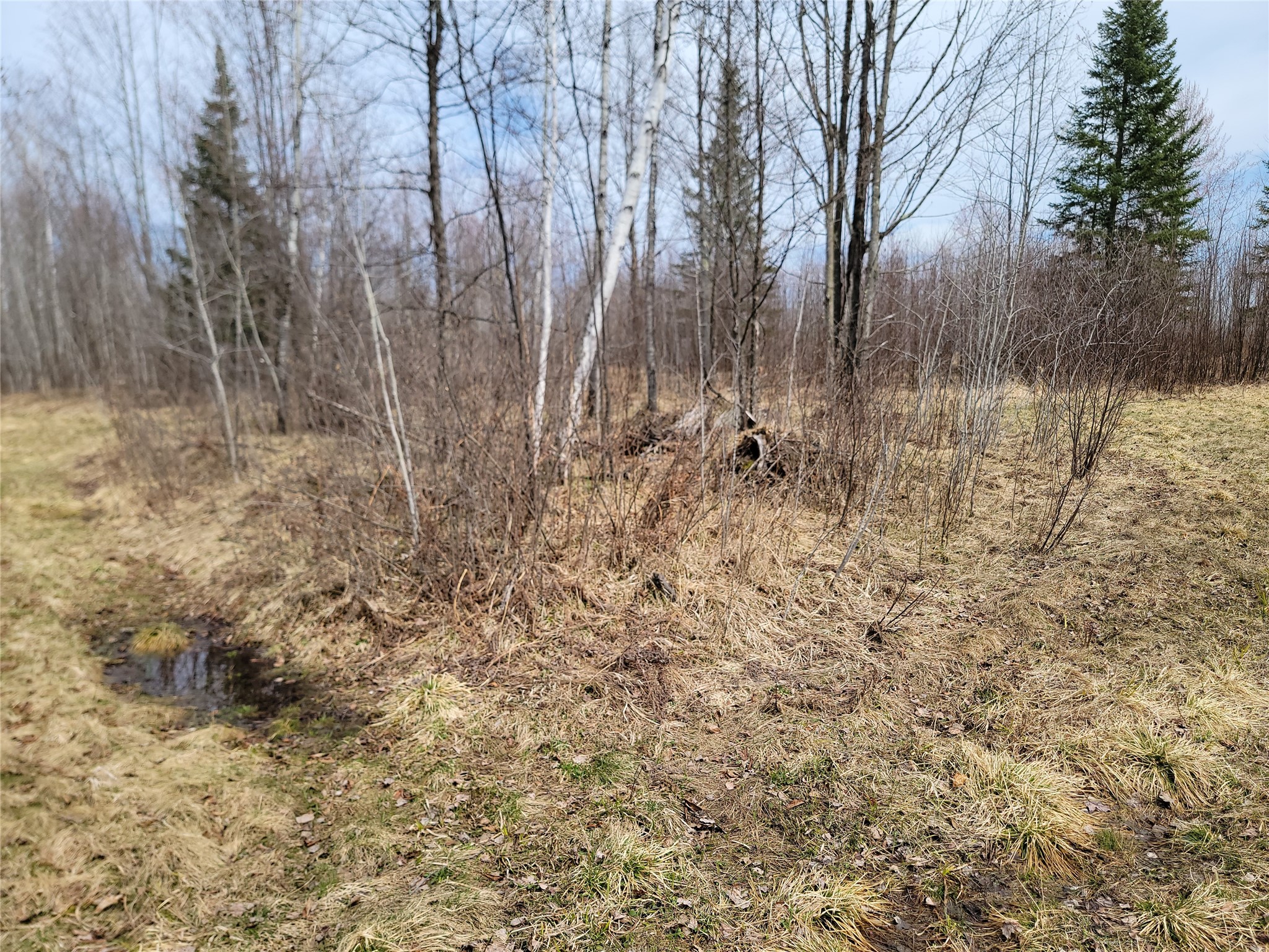 On Elderwood Road Property Photo 11