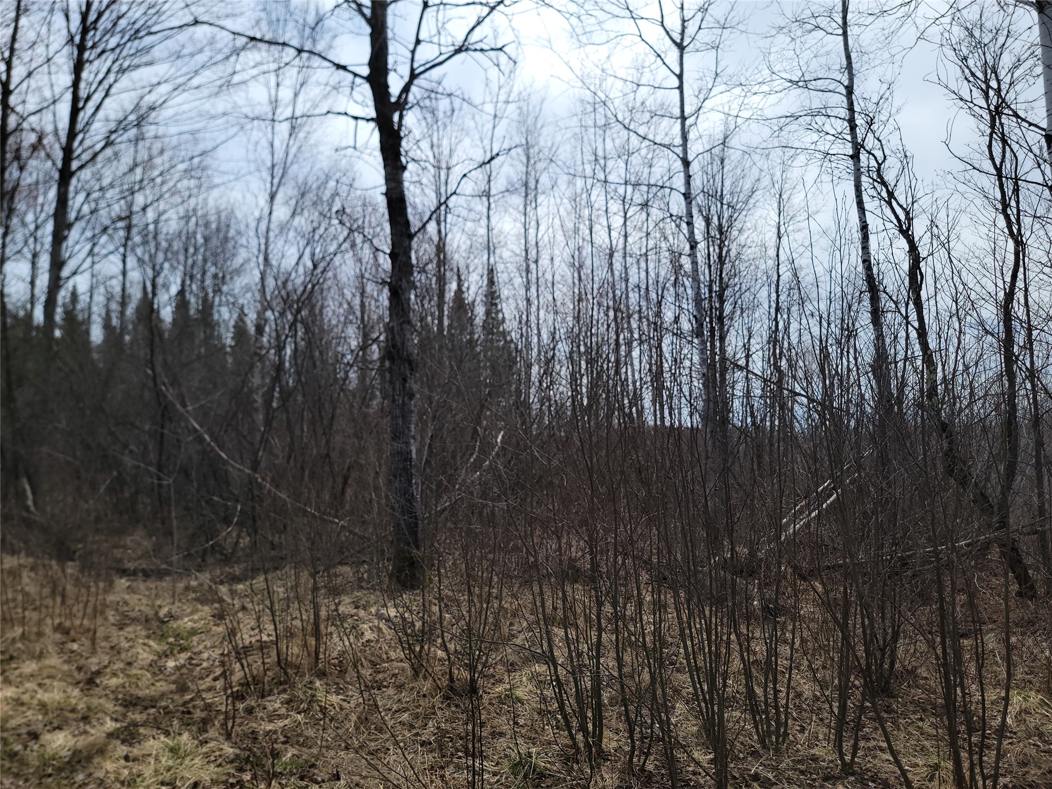 On Elderwood Road Property Photo 12