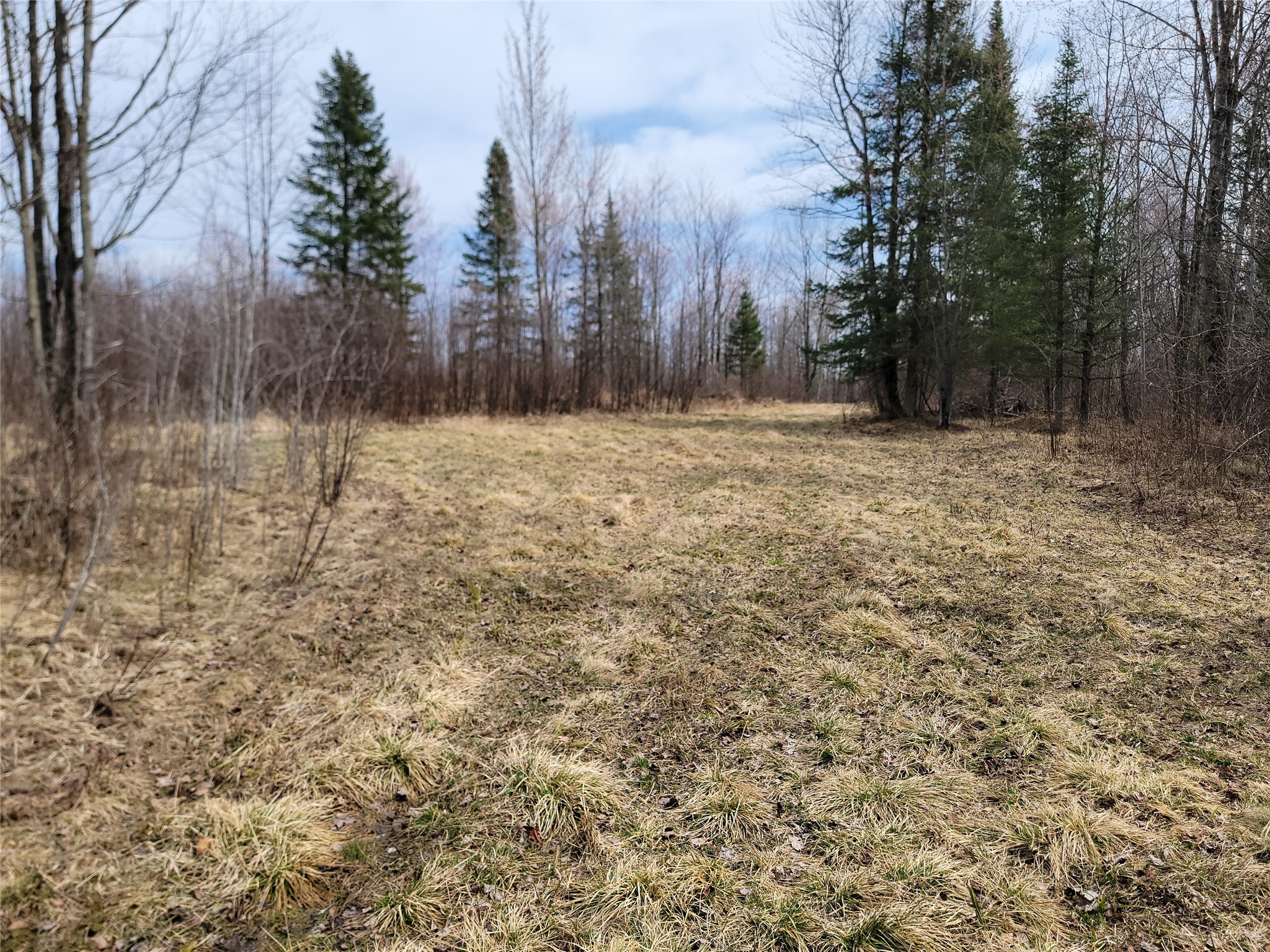 On Elderwood Road Property Photo 13