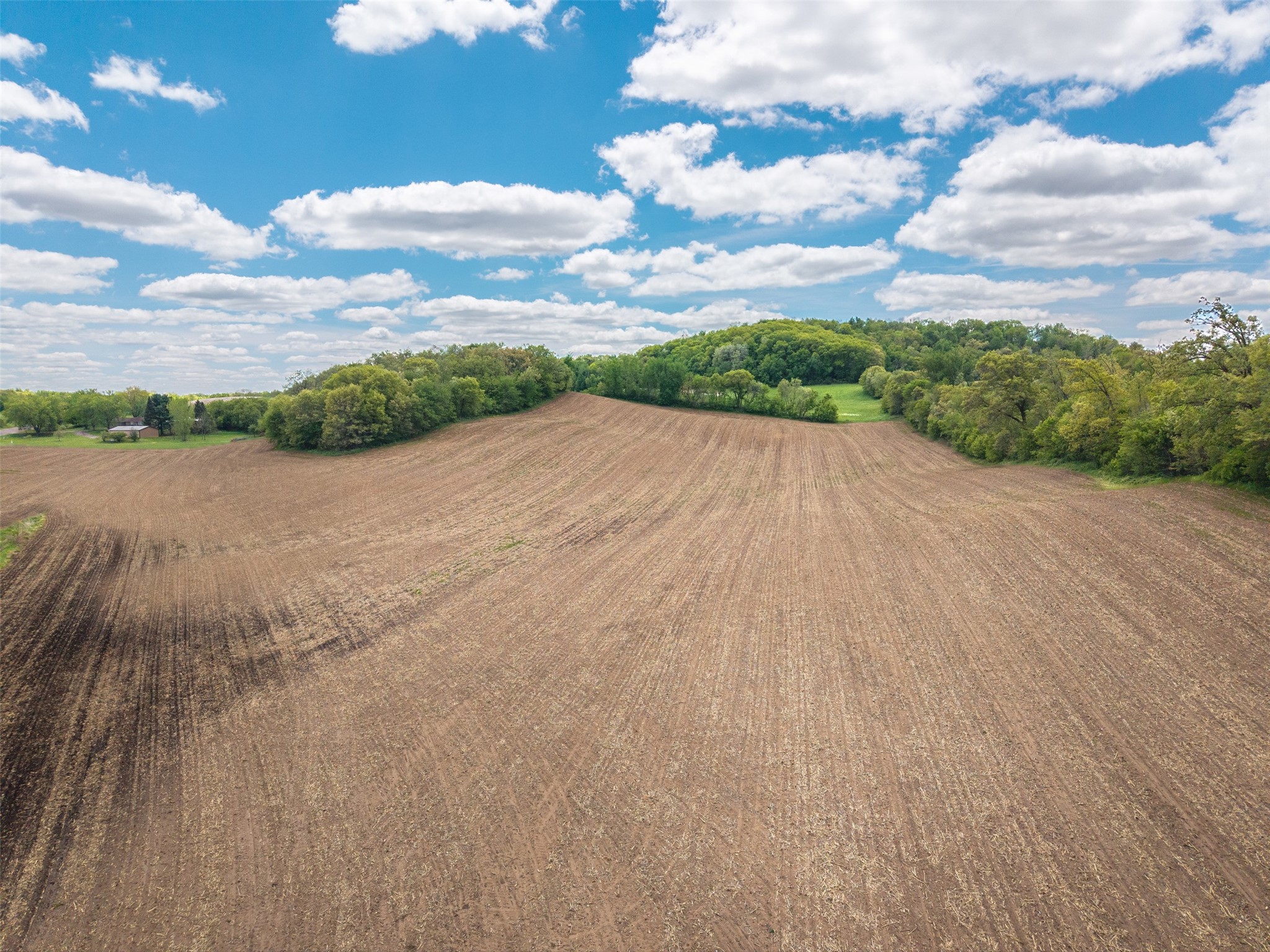 35 Acres Old Town Road Property Photo 15