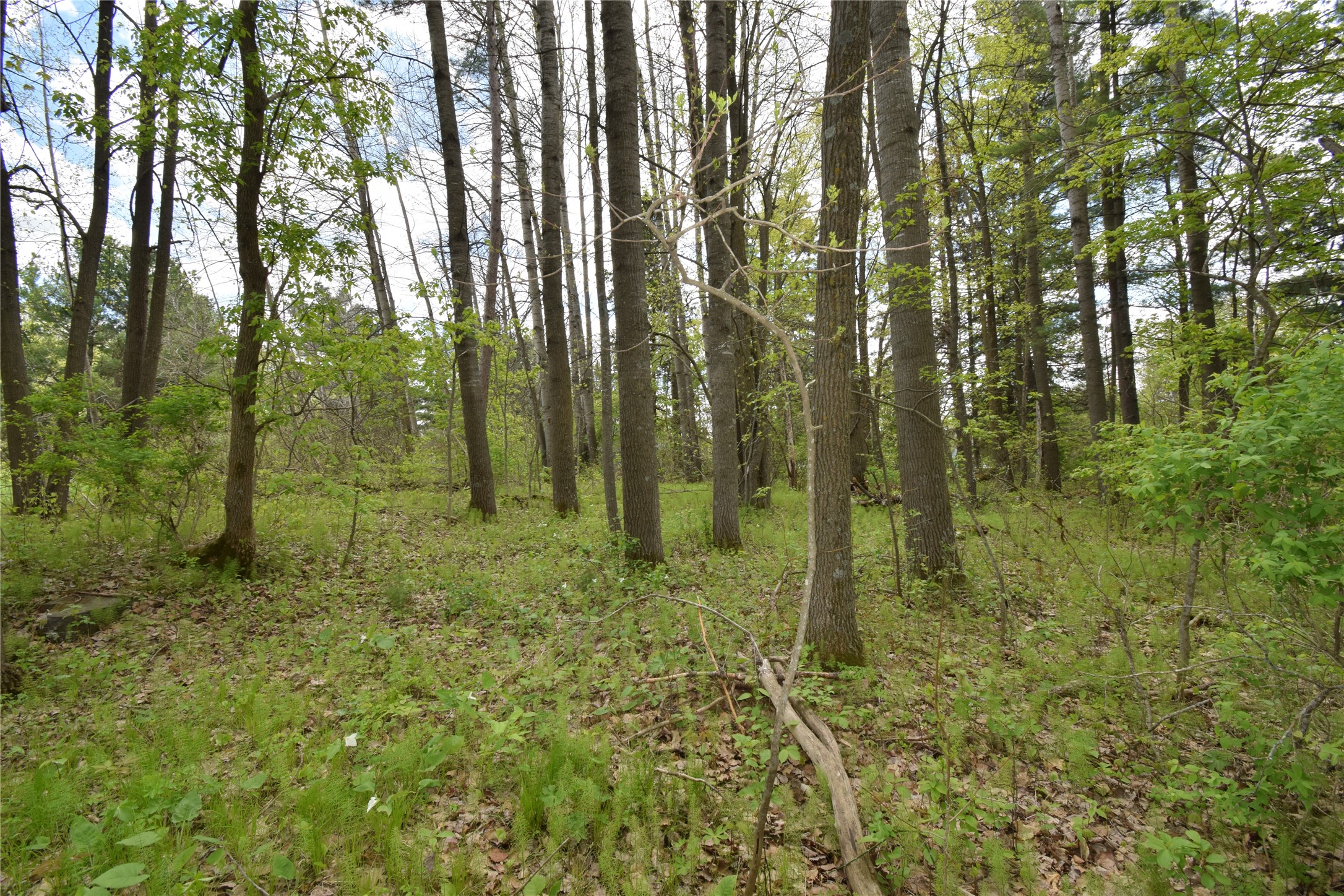 3346 65th Street Property Photo 47
