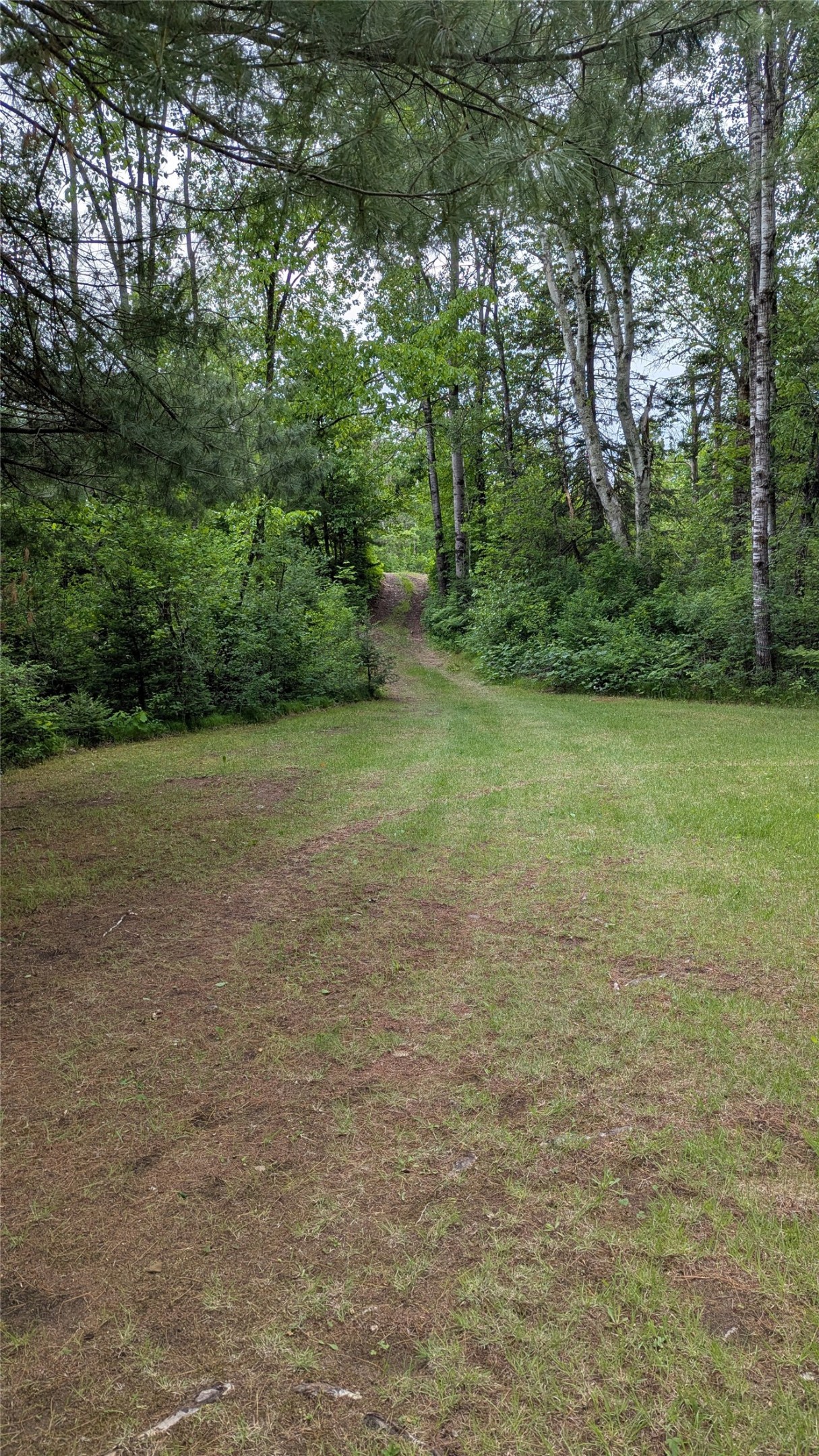 12493 W State Highway 27/70 Property Photo 53