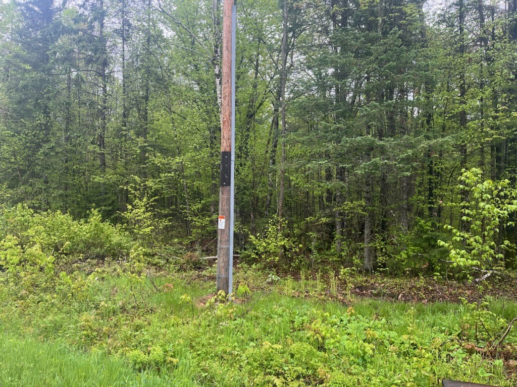 Lot 2 Delap Lane Property Photo 3