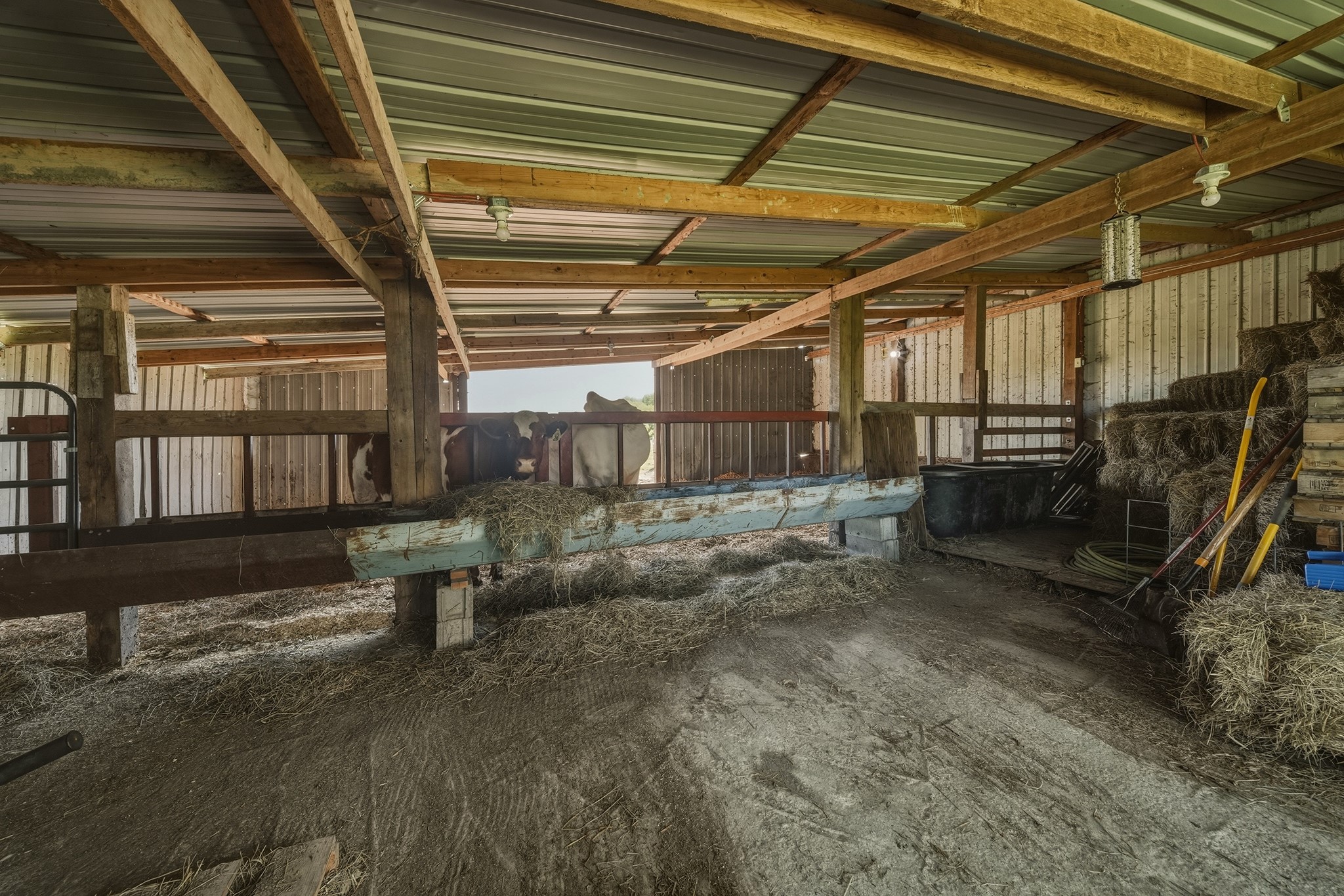 N10994 County Road G Property Photo 29