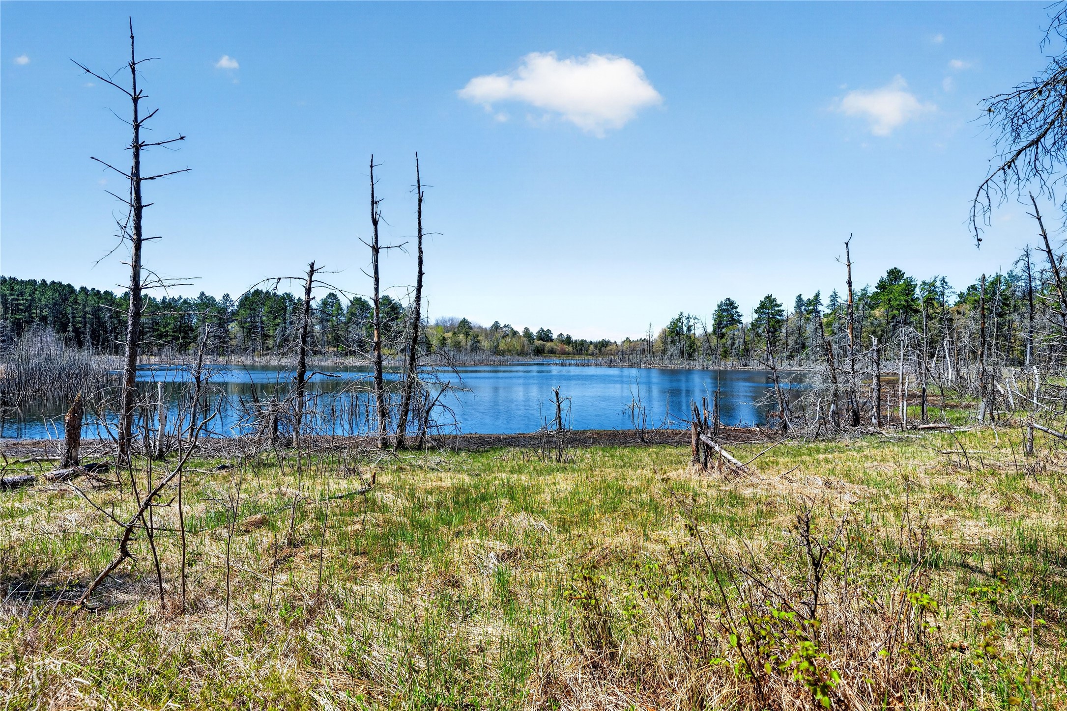 55065 Silverwolf Drive Property Photo 3