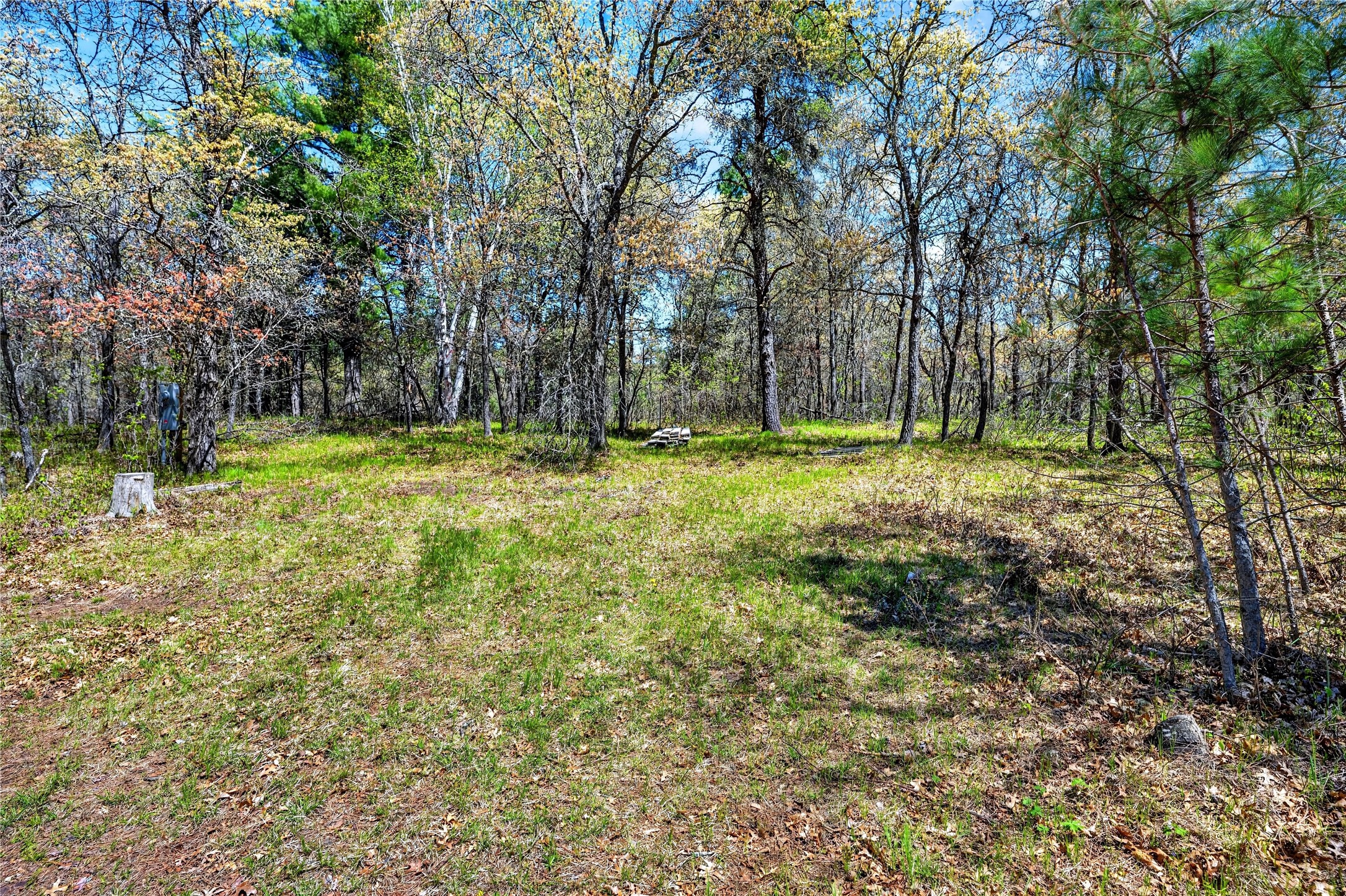 55065 Silverwolf Drive Property Photo 6