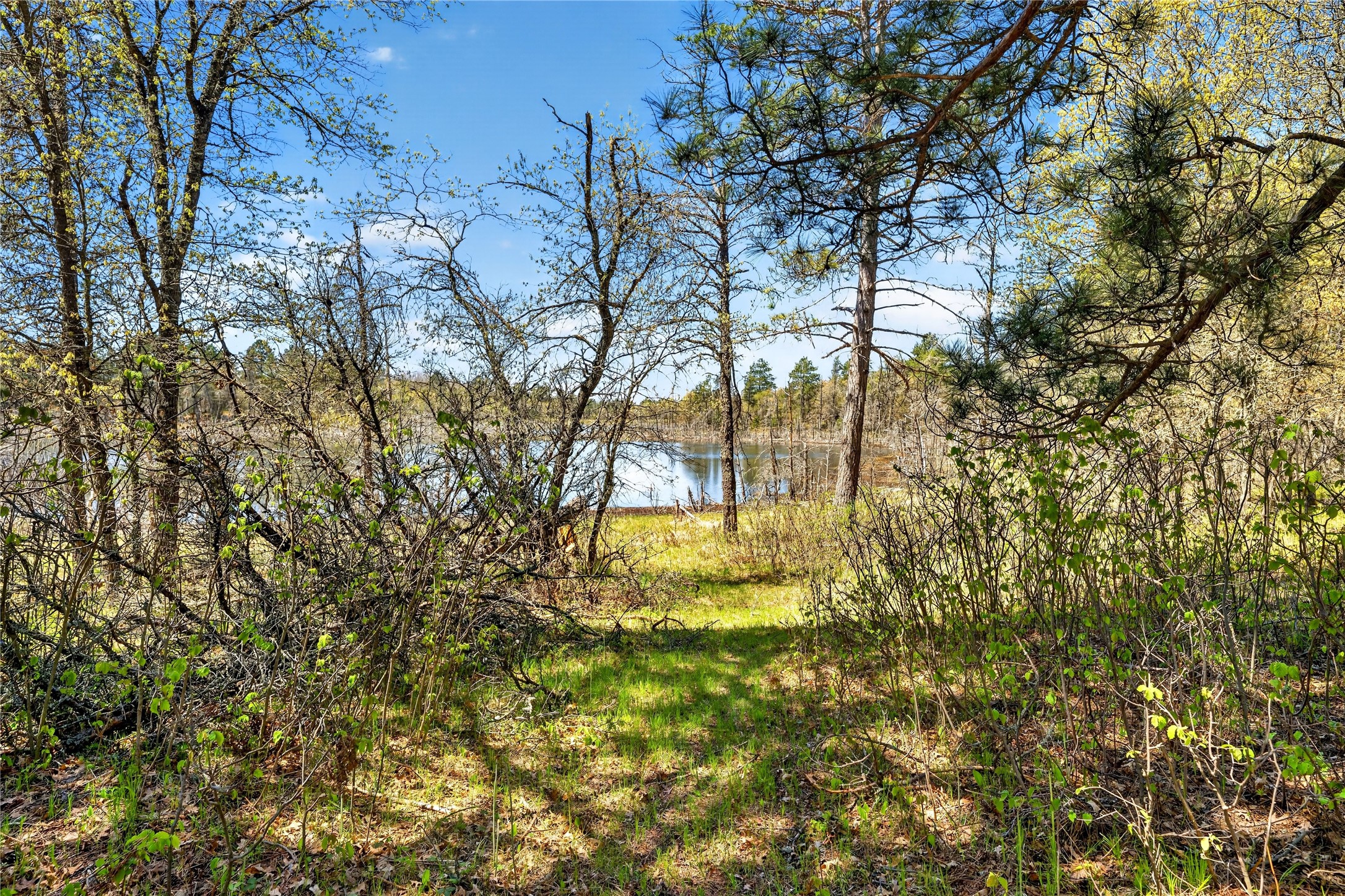 55065 Silverwolf Drive Property Photo 13