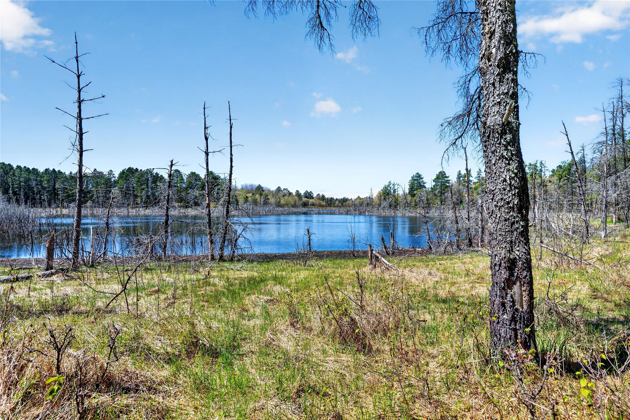 55065 Silverwolf Drive Property Photo 14