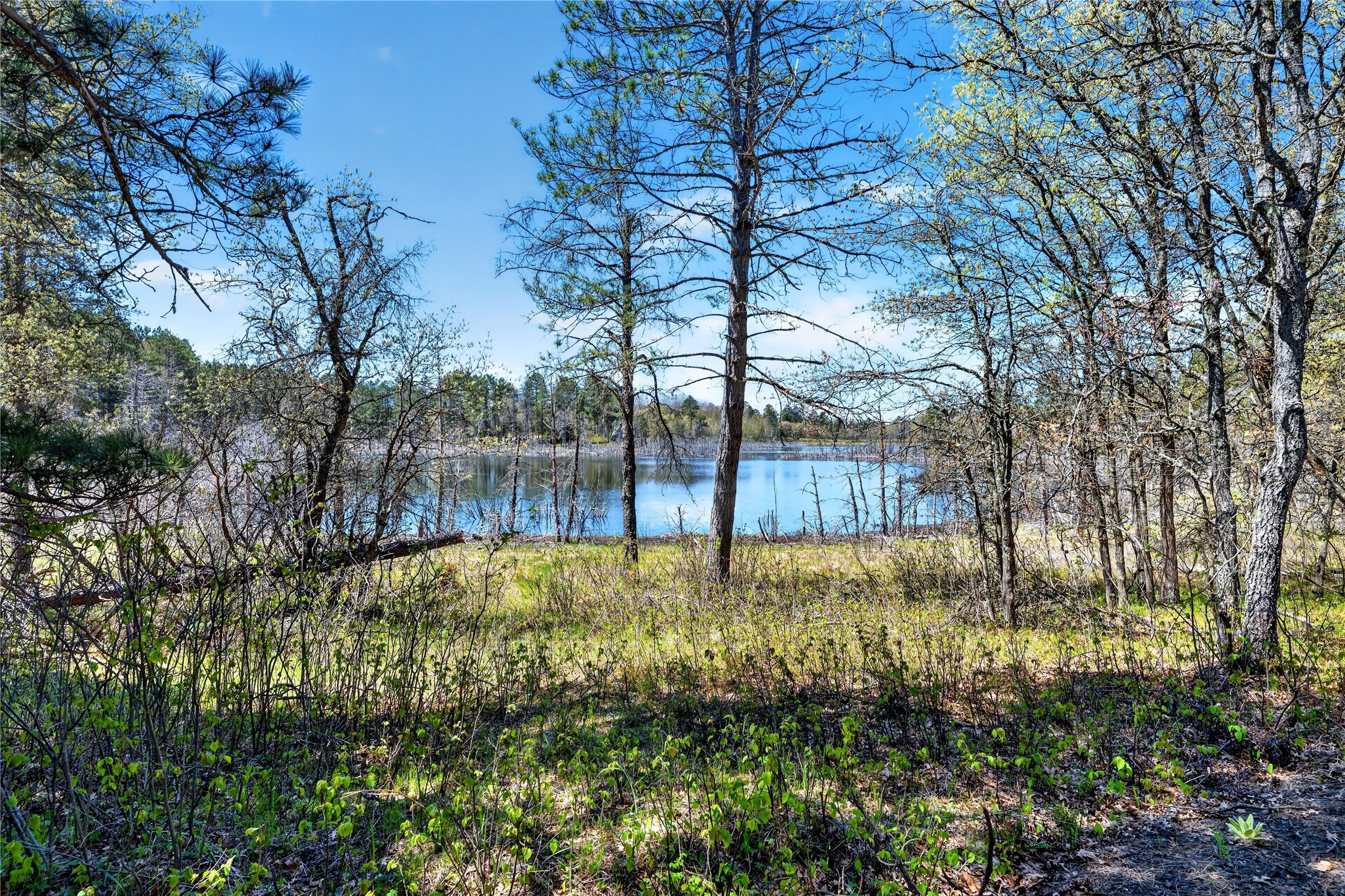 55065 Silverwolf Drive Property Photo 19
