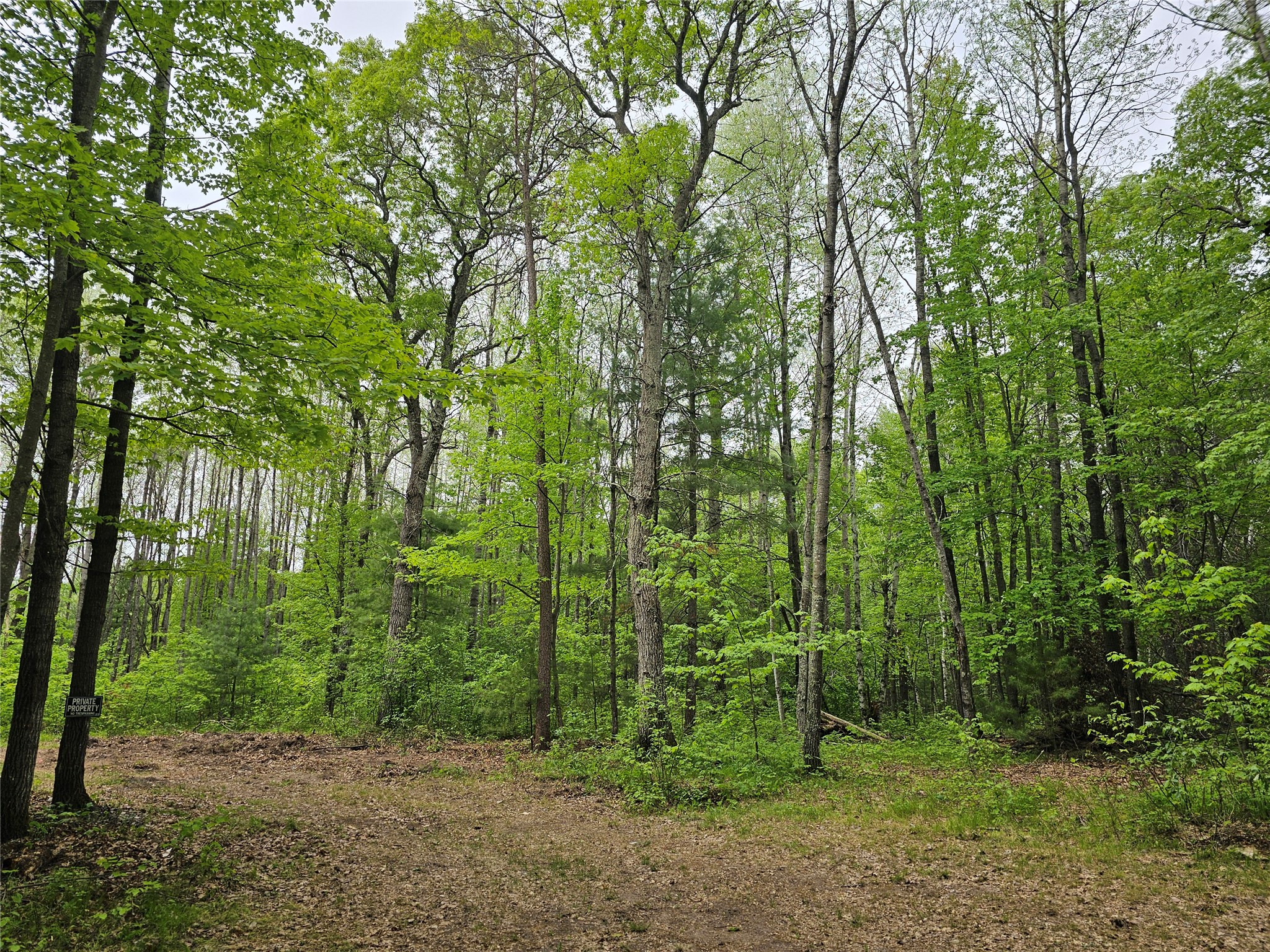 25227 Kruger Road Property Photo 2