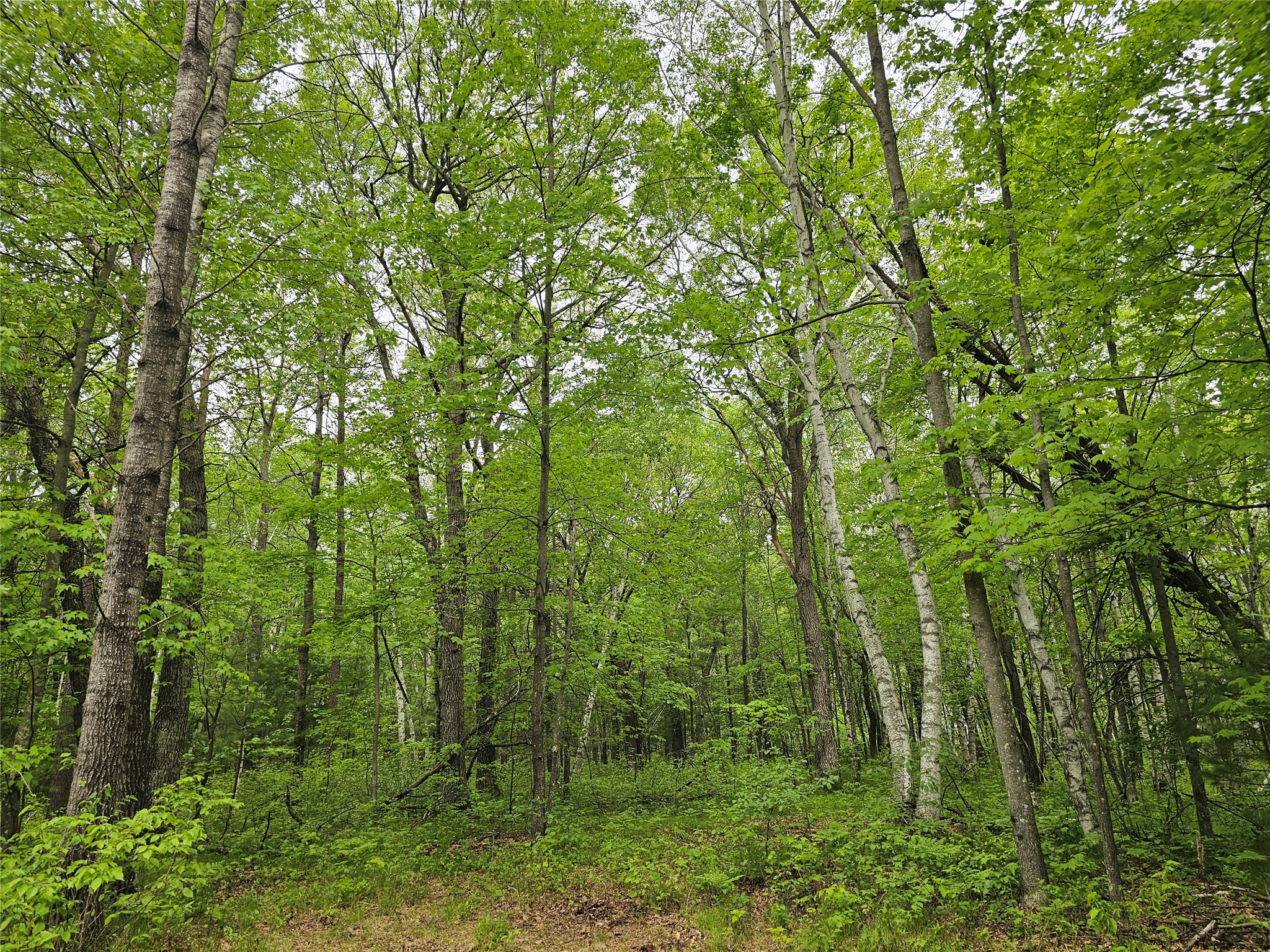 25227 Kruger Road Property Photo 8