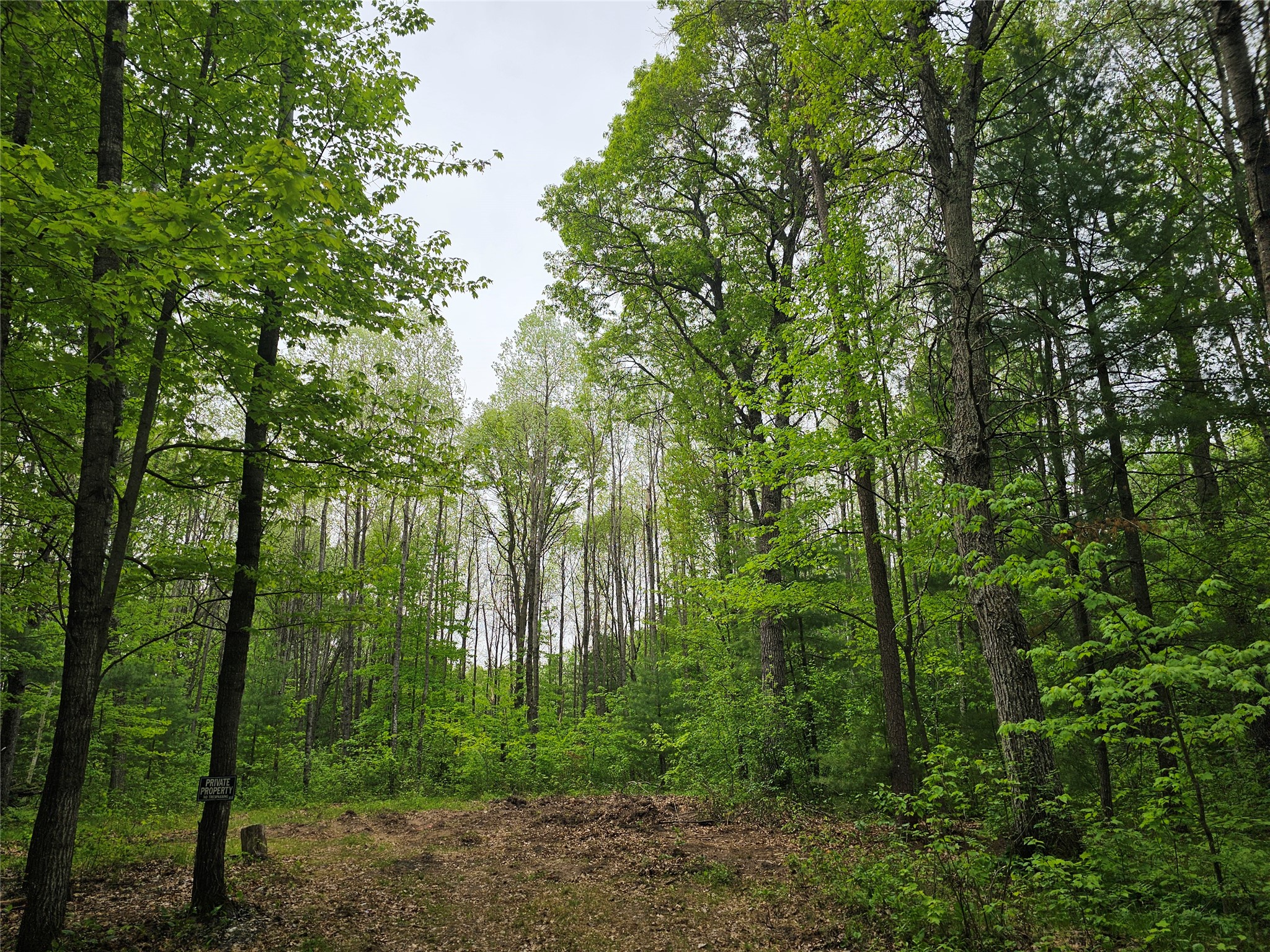 25227 Kruger Road Property Photo 10