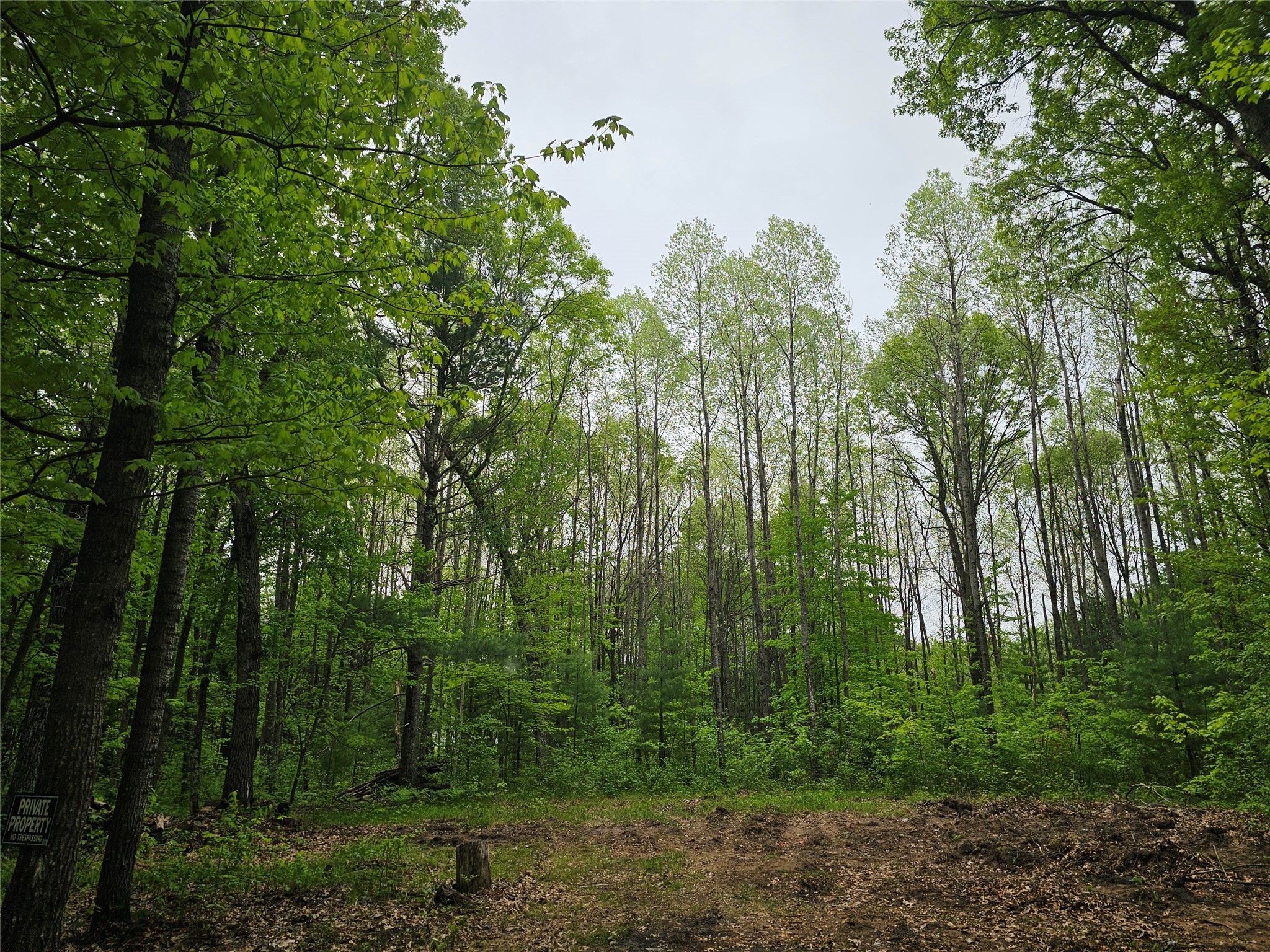 25227 Kruger Road Property Photo 11