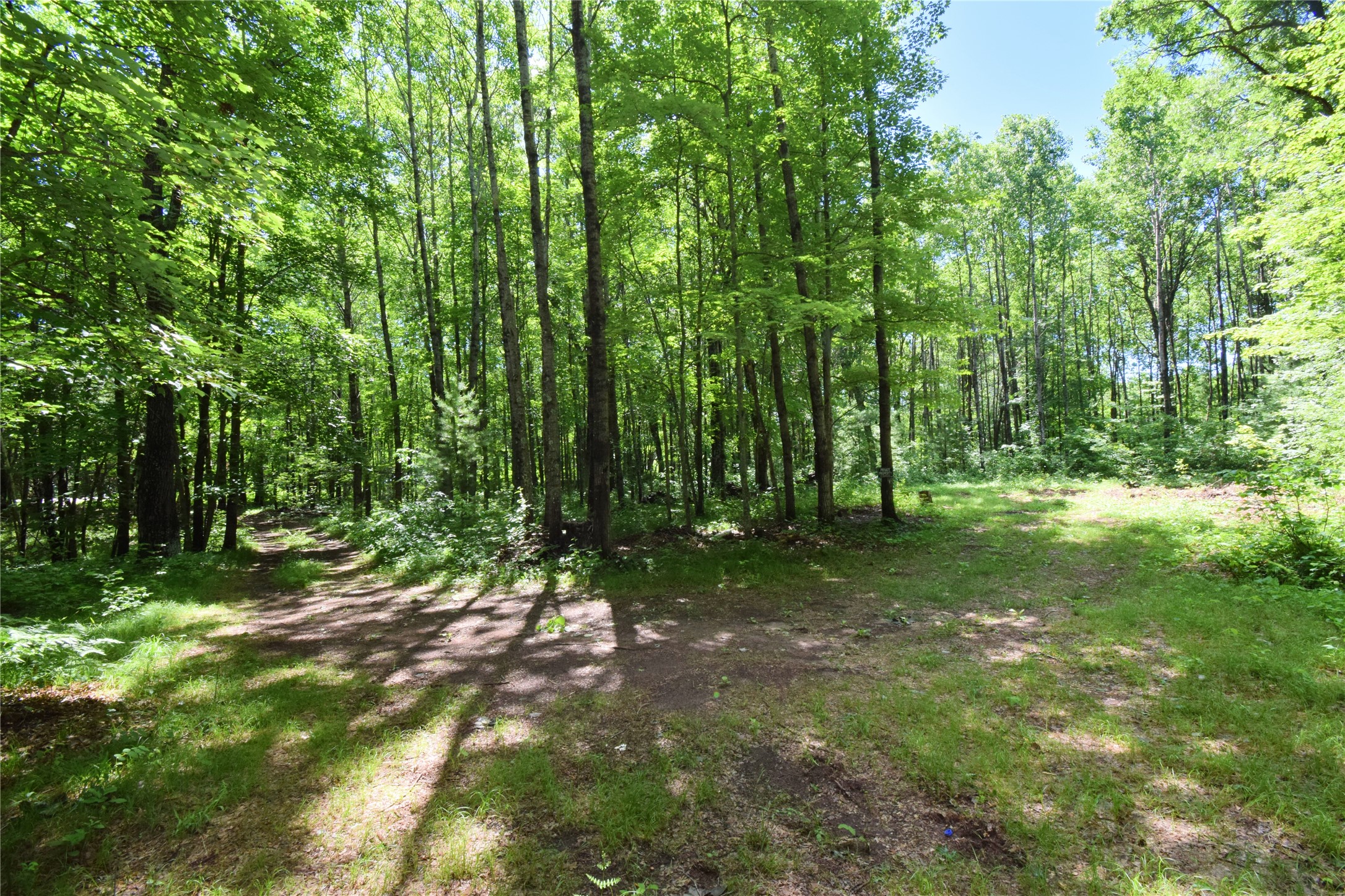 25227 Kruger Road Property Photo 12
