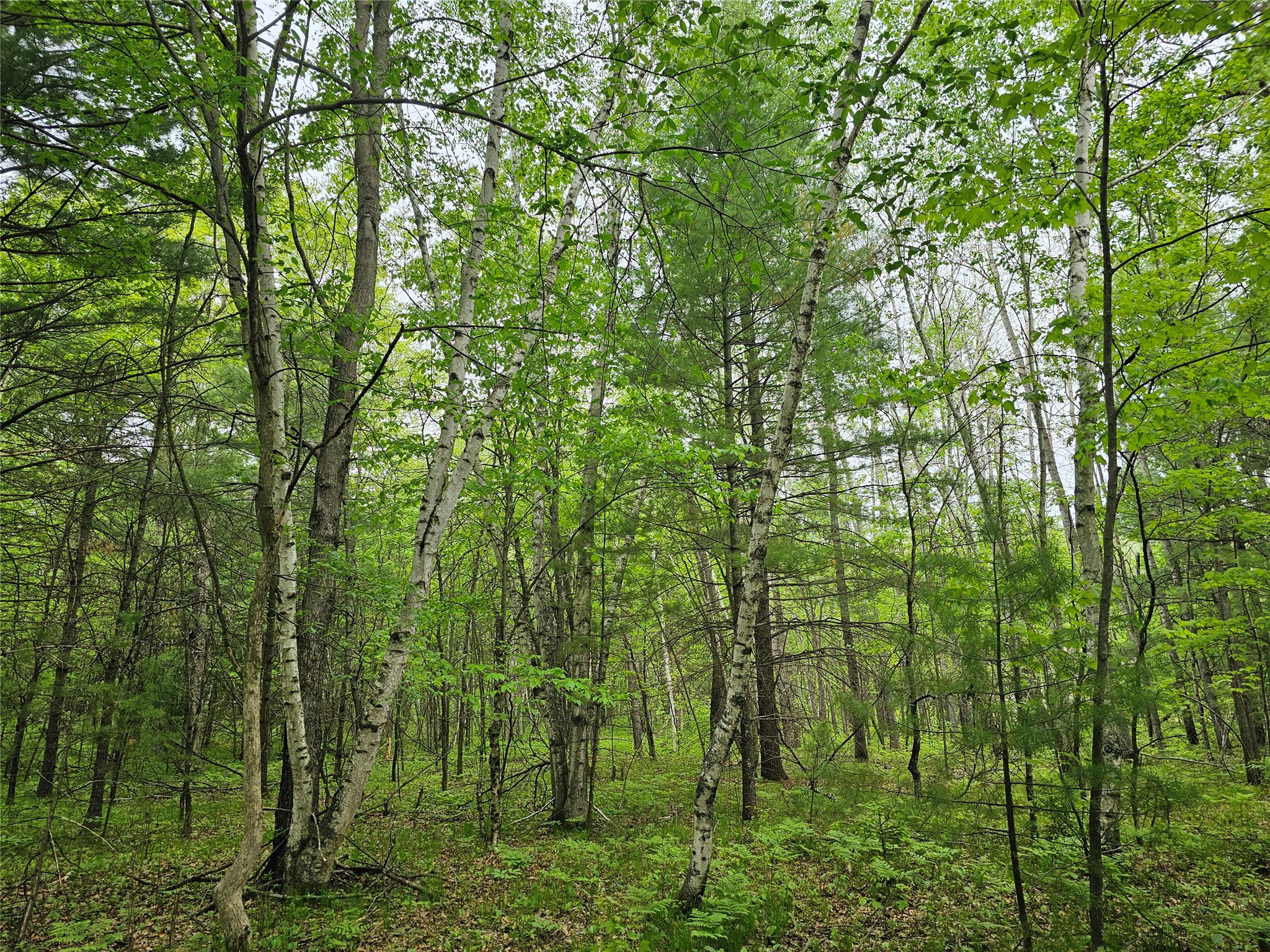 25227 Kruger Road Property Photo 13