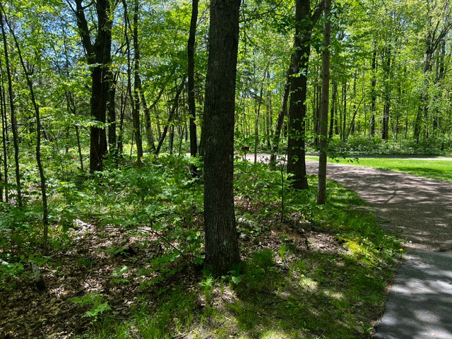 N4798 Loop Road Property Photo 42