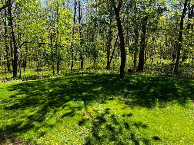 N4798 Loop Road Property Photo 44
