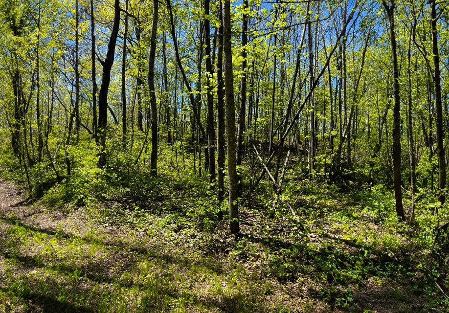 N4798 Loop Road Property Photo 46
