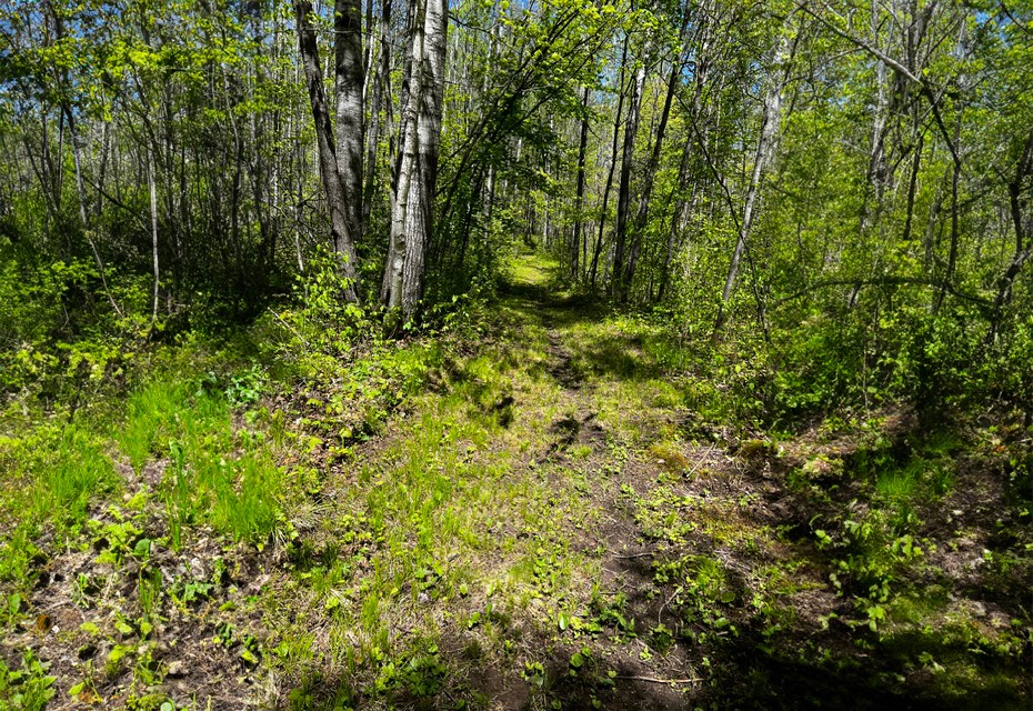 N4798 Loop Road Property Photo 48