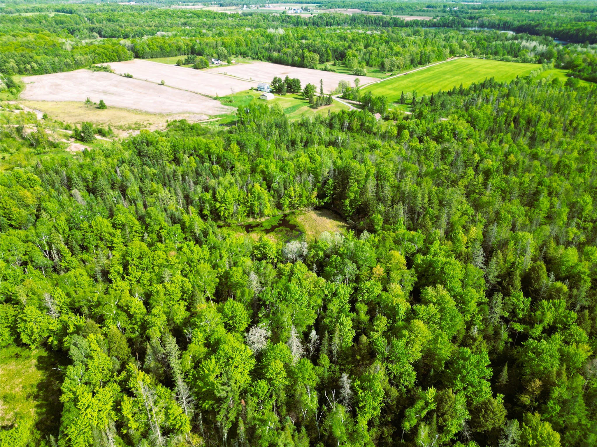 W9902 Flohr Road Property Photo 39
