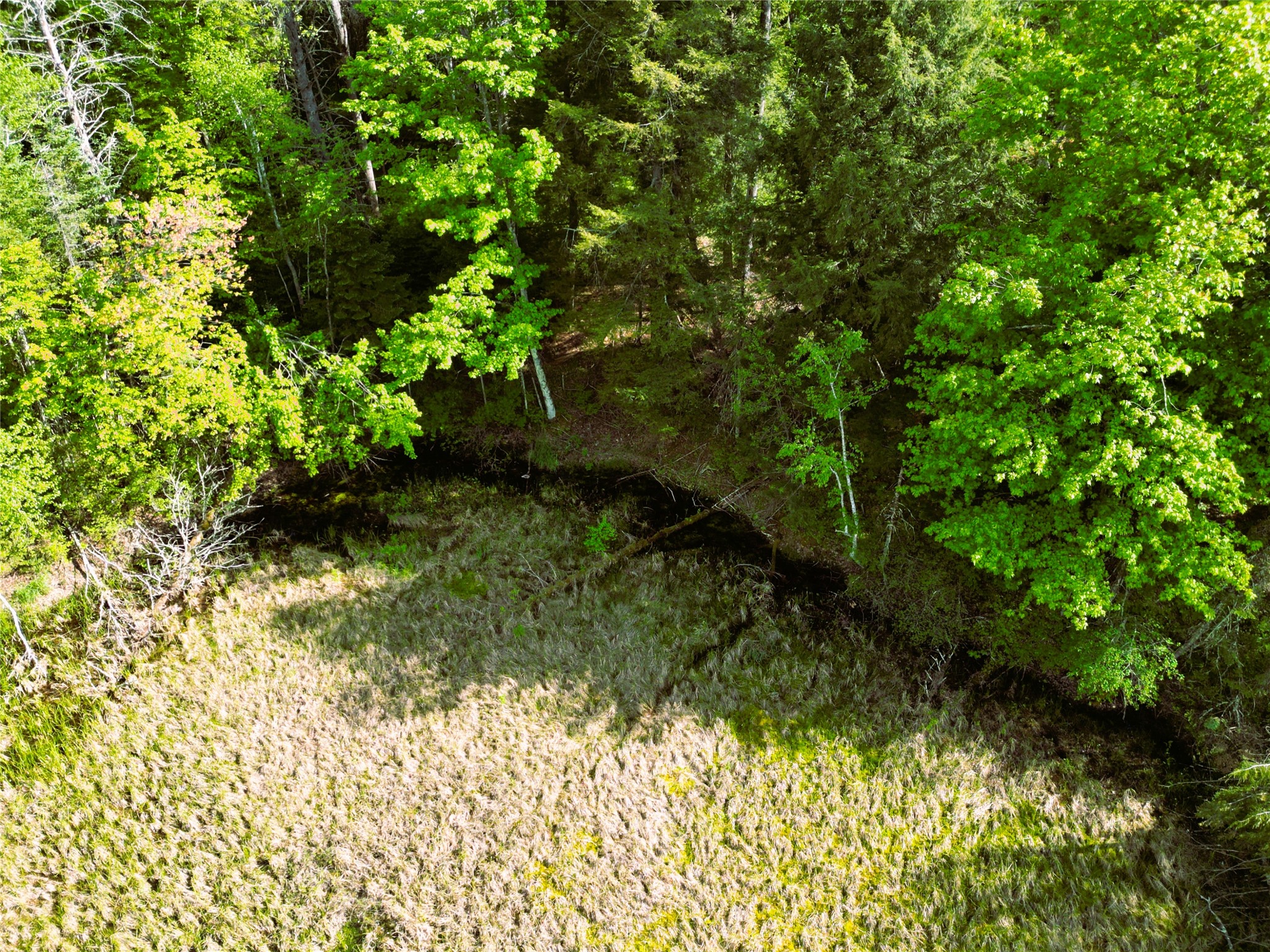 W9902 Flohr Road Property Photo 41