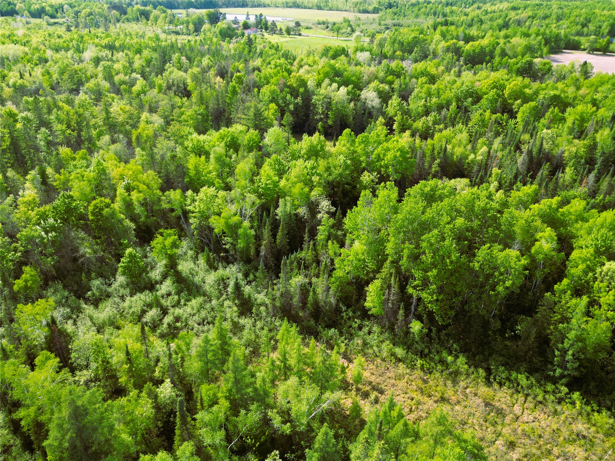 W9902 Flohr Road Property Photo 45