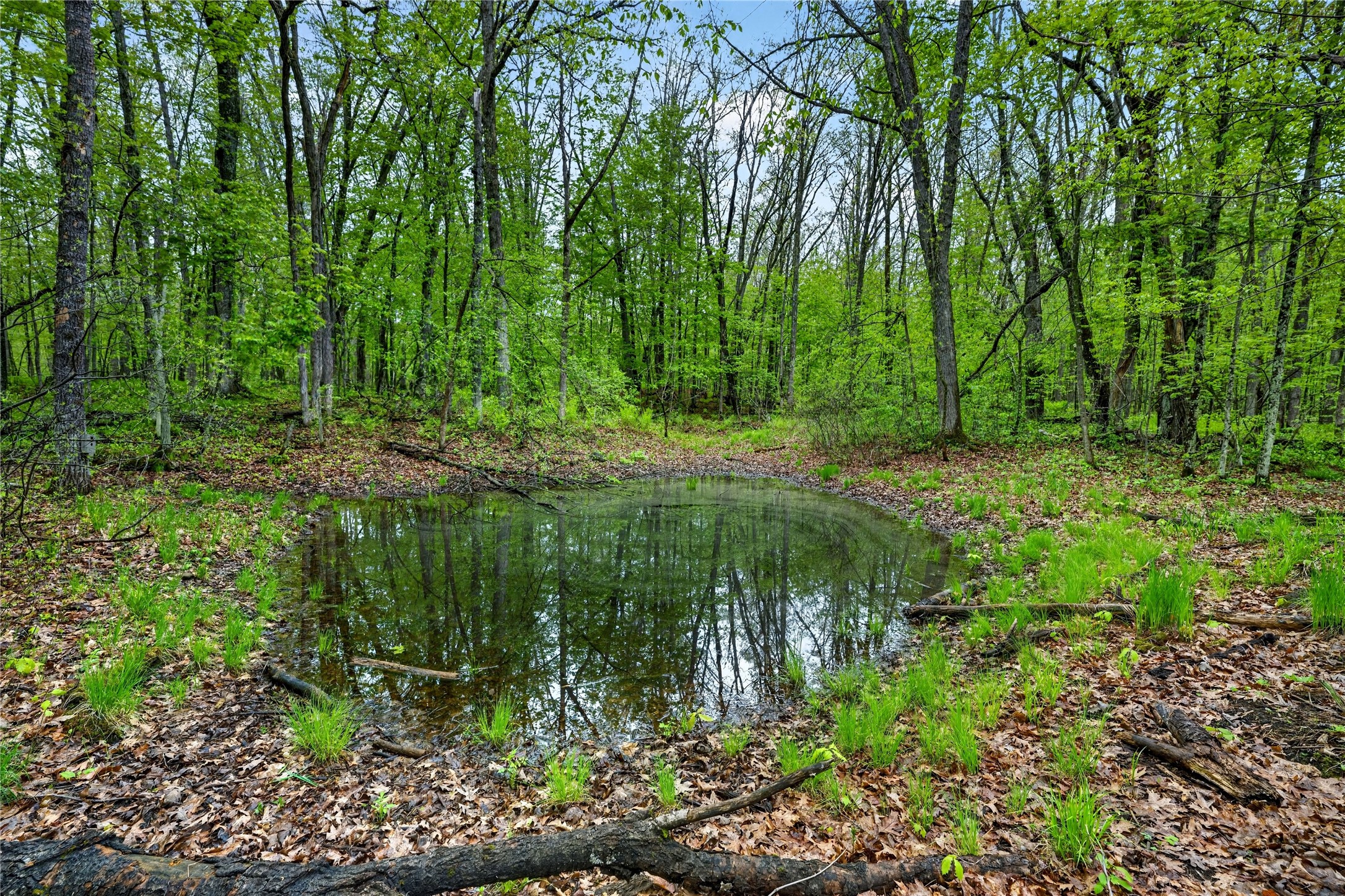 N8771 Fye Road Property Photo 14