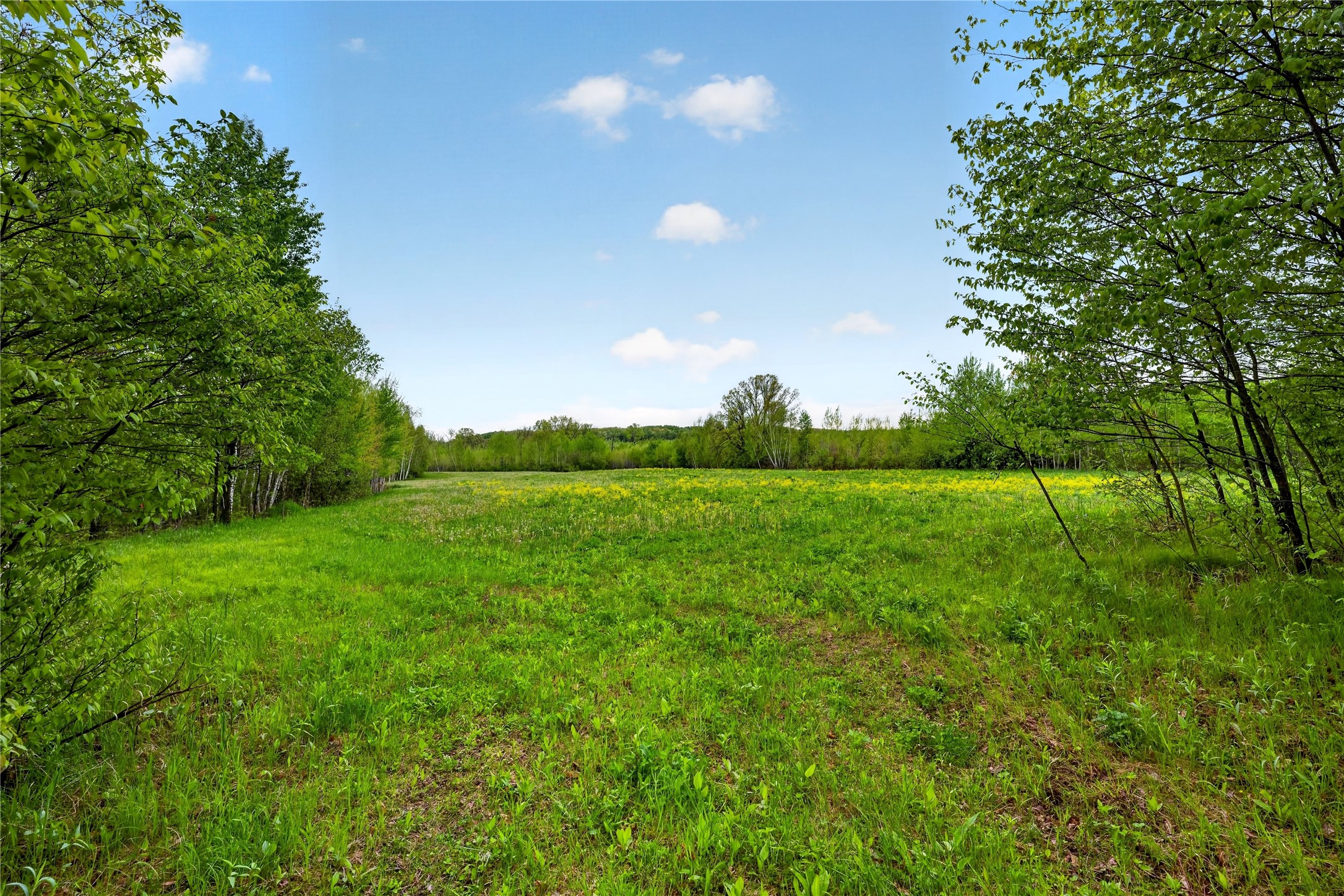 N8771 Fye Road Property Photo 15
