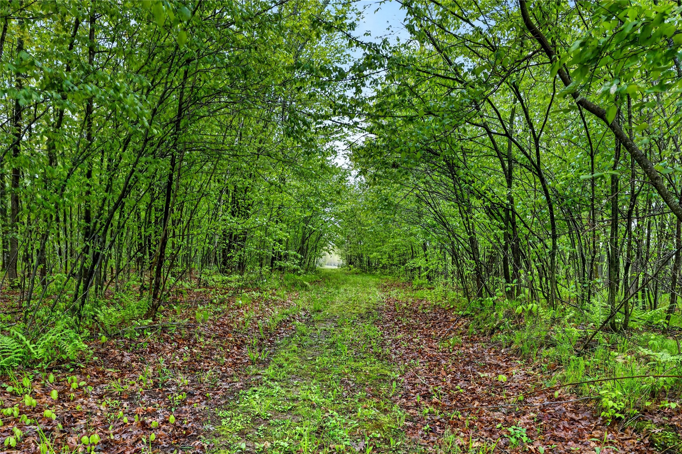 N8771 Fye Road Property Photo 16