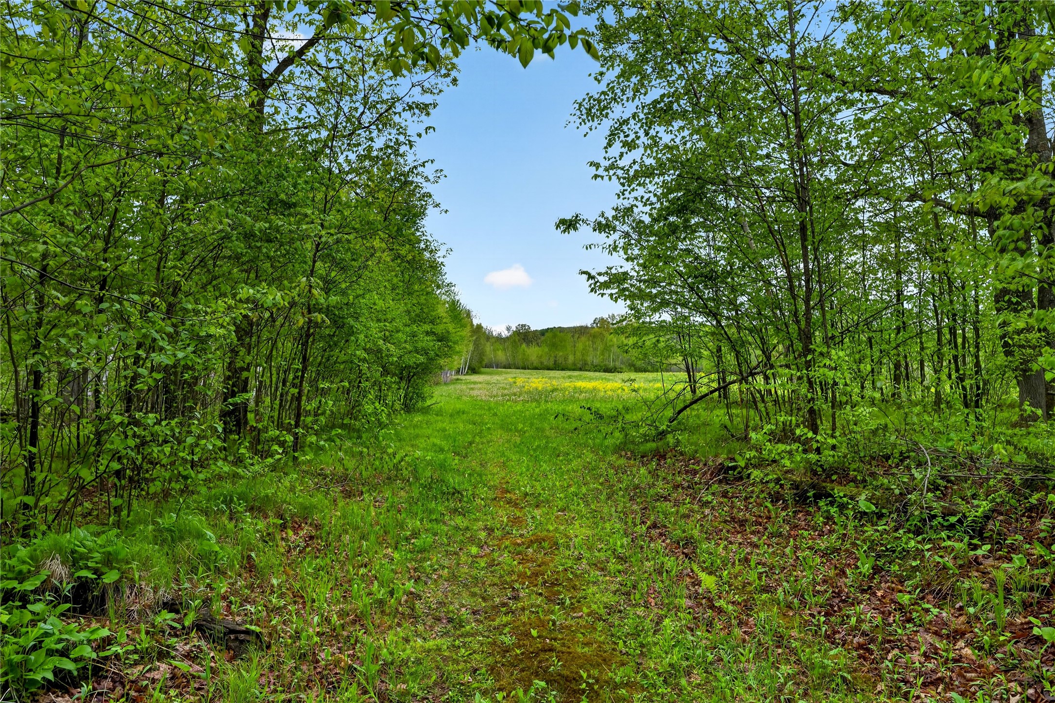 N8771 Fye Road Property Photo 17
