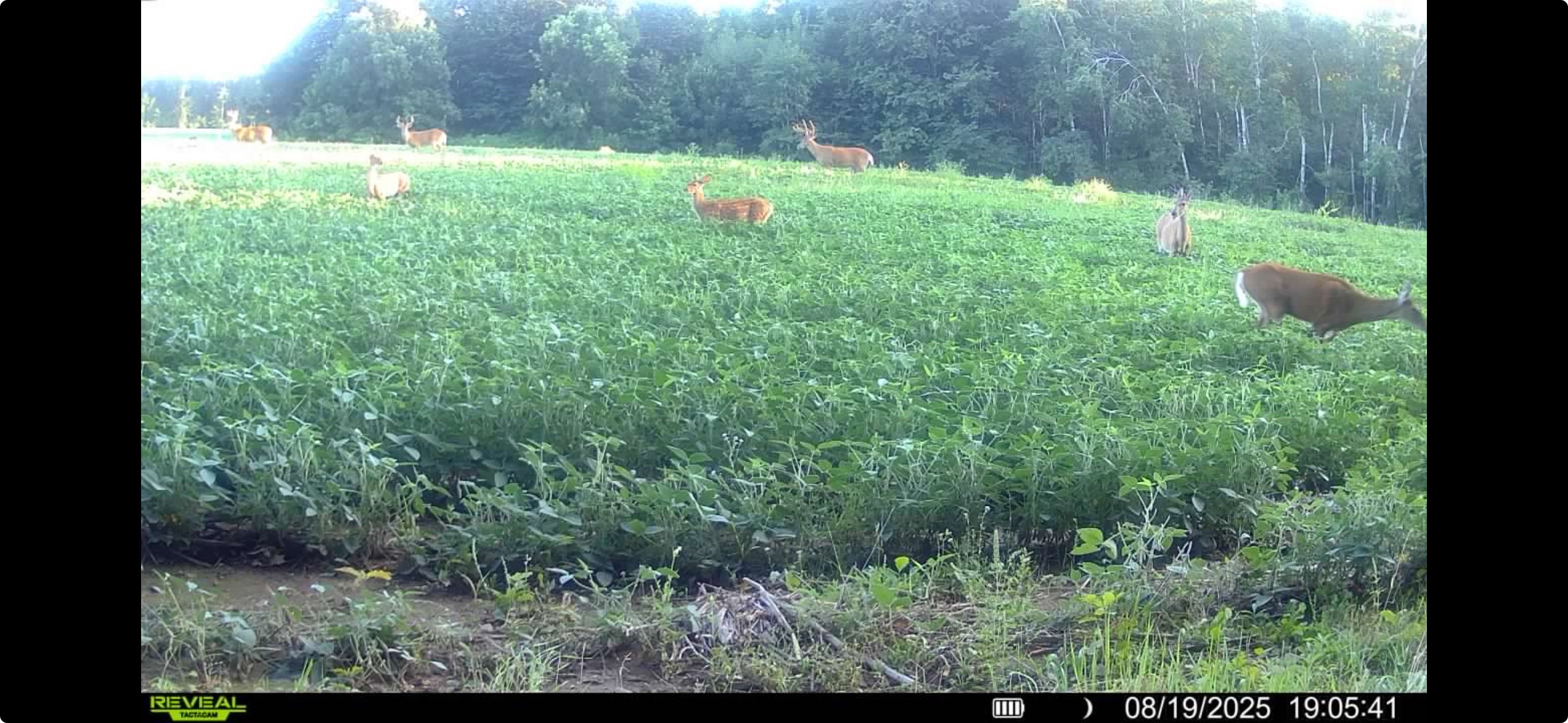 N8771 Fye Road Property Photo 26