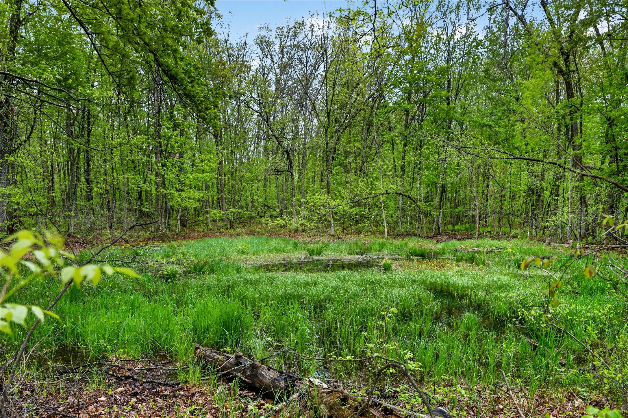 N8771 Fye Road Property Photo 37