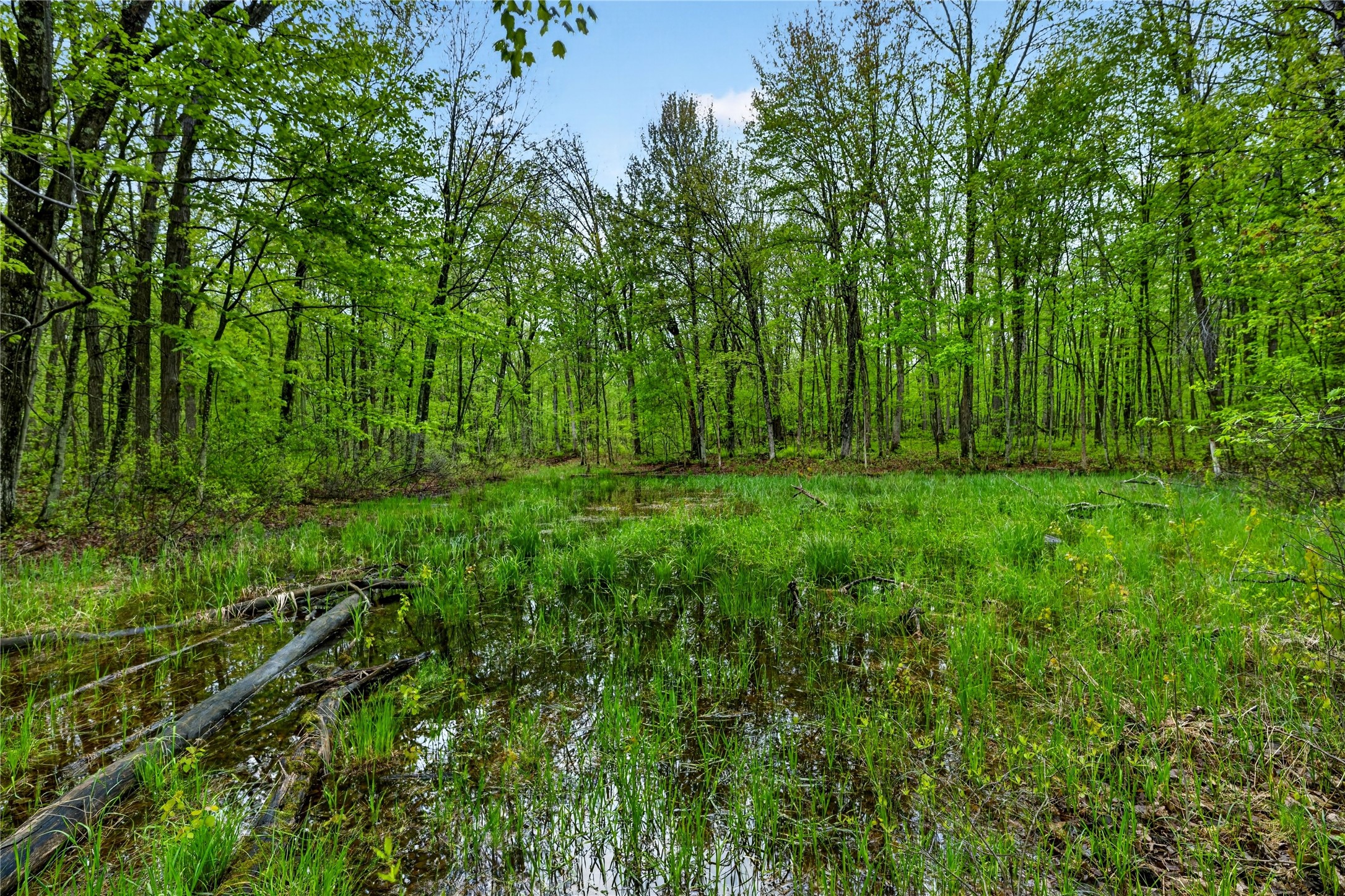 N8771 Fye Road Property Photo 38
