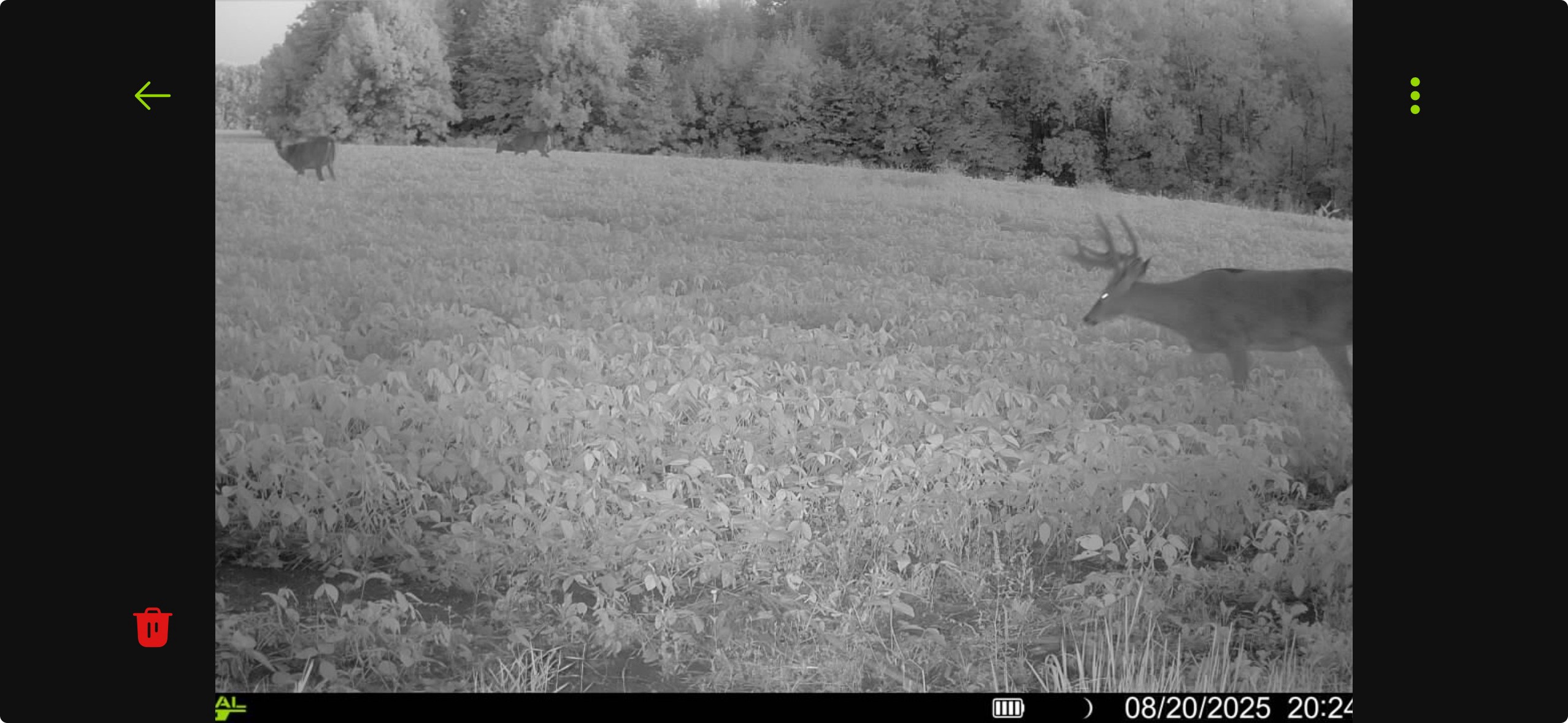 N8771 Fye Road Property Photo 43