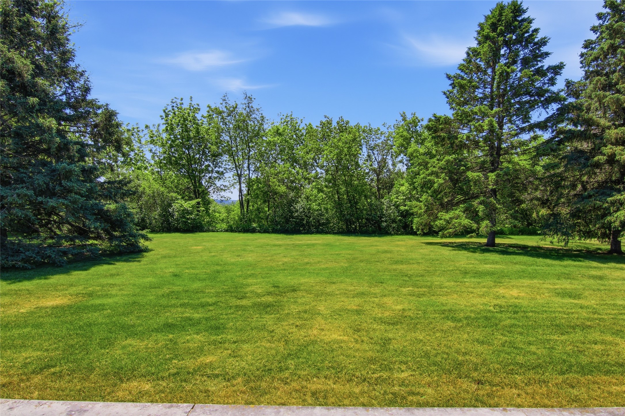 1730 Cotting Street Property Photo 39
