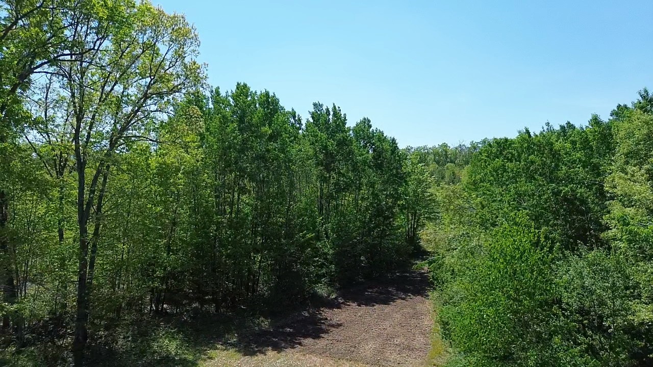 343x 5th Avenue Property Photo 1
