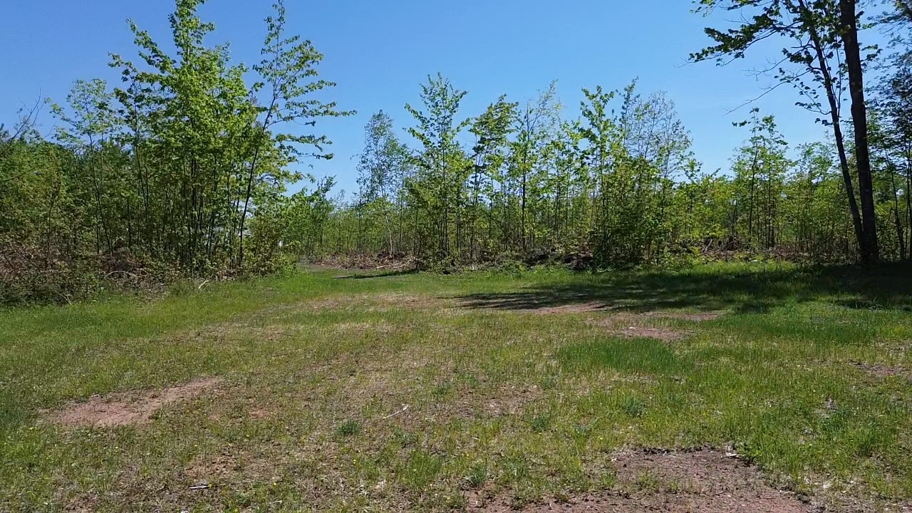 343x 5th Avenue Property Photo 15
