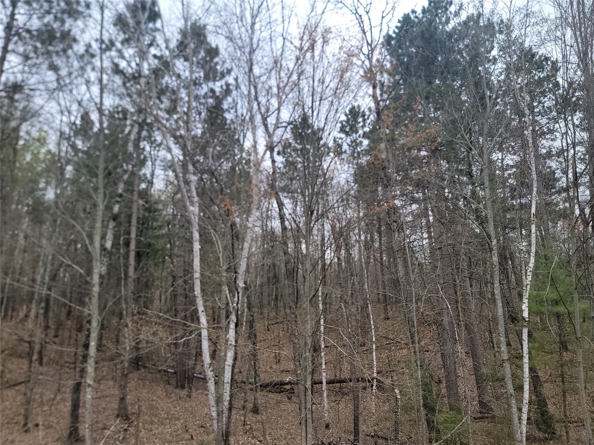 3598n Old J Road Property Photo 19
