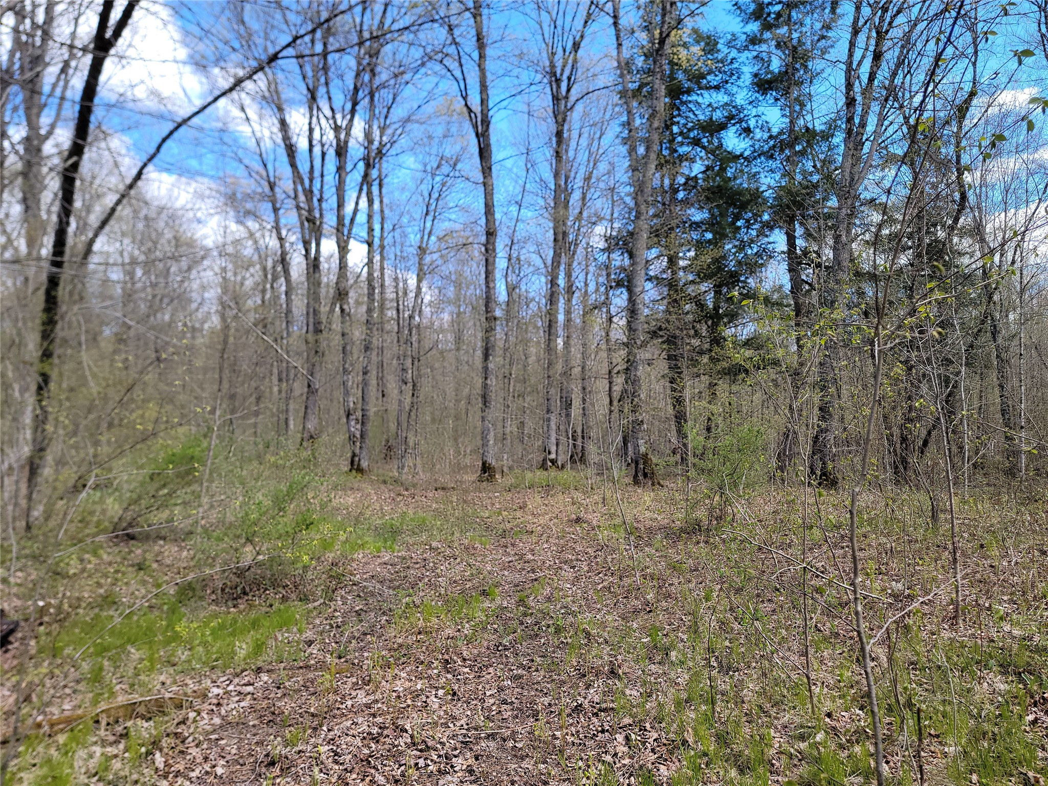 3598n Old J Road Property Photo 20