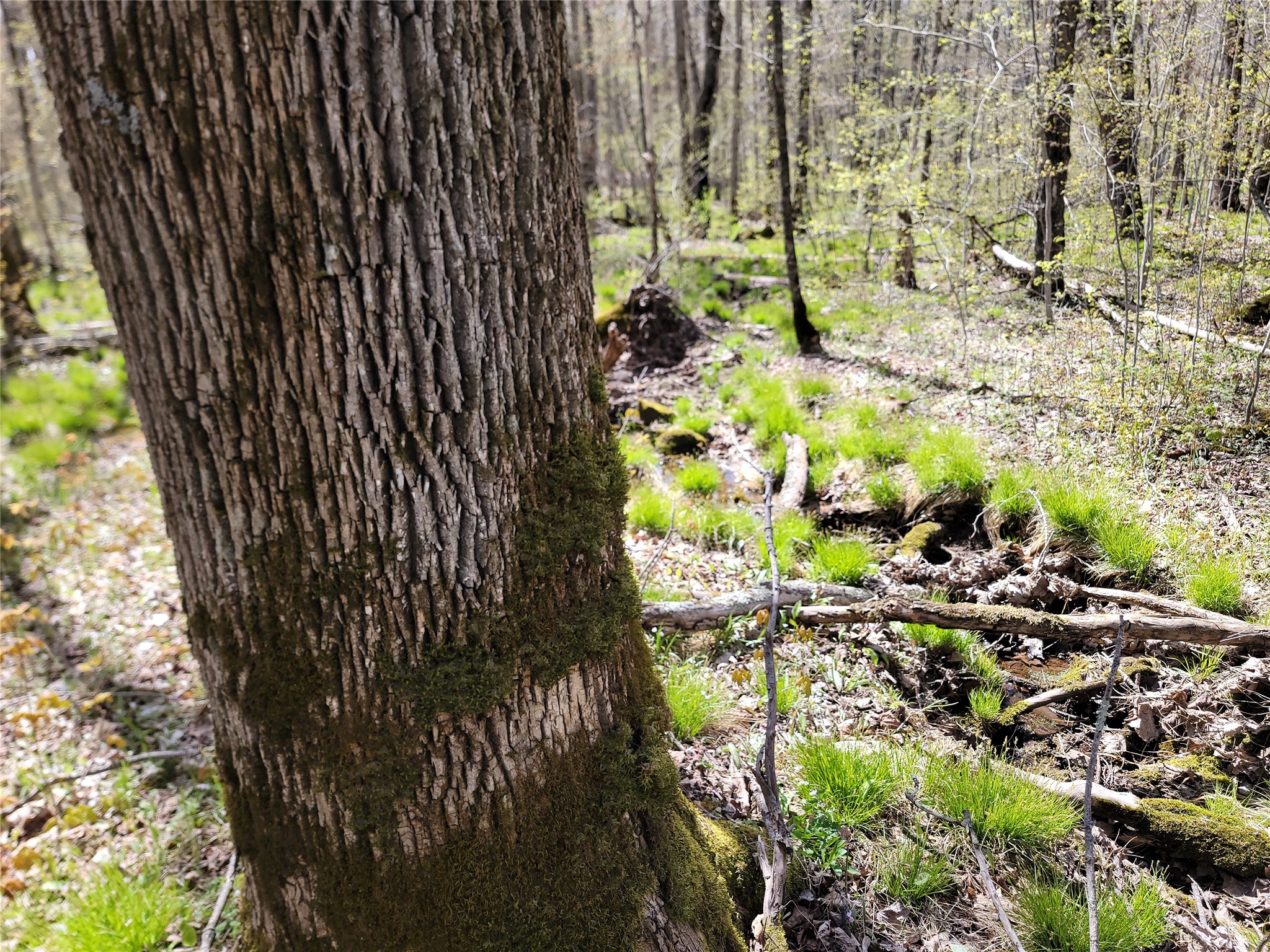 3598n Old J Road Property Photo 21