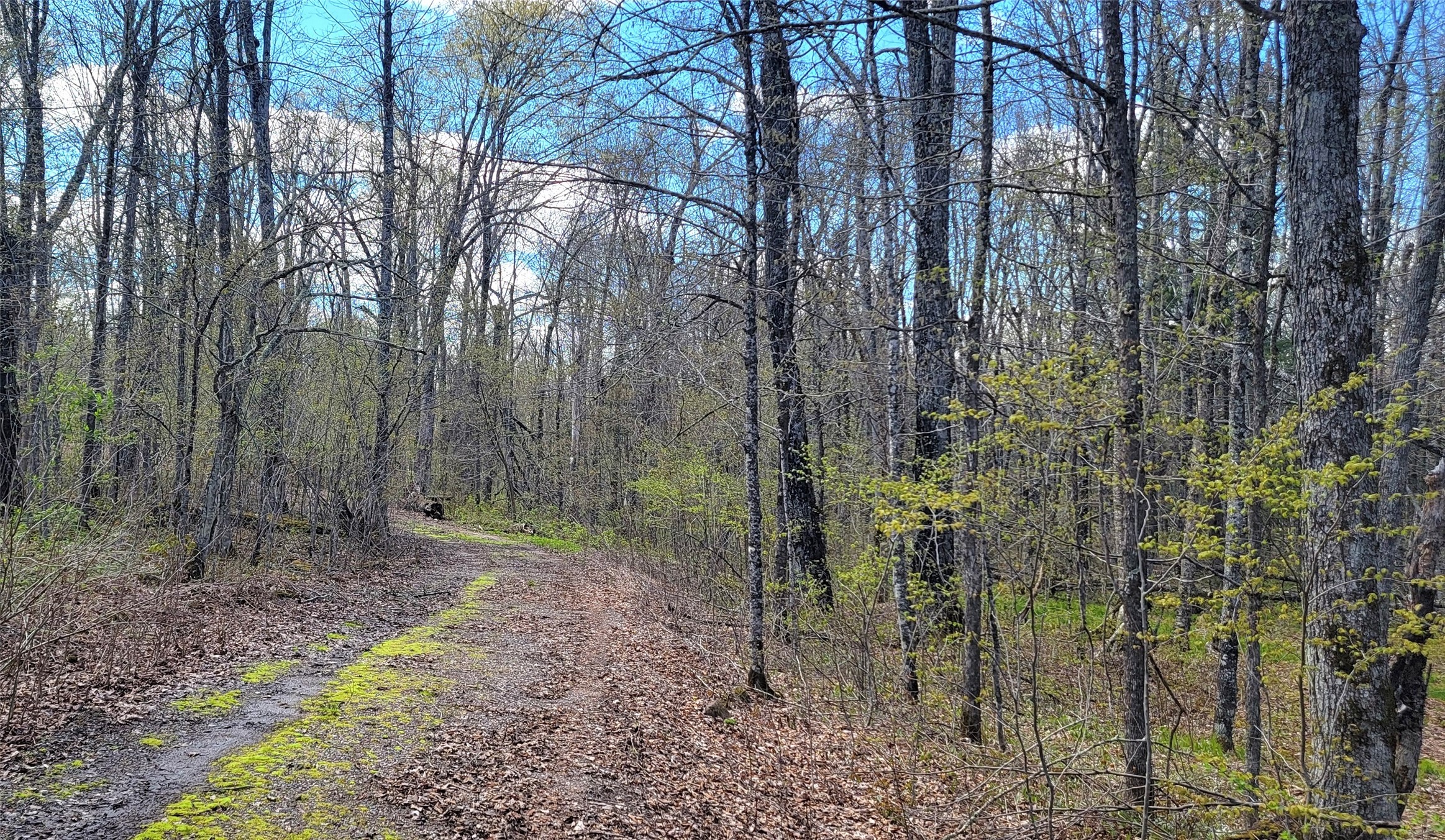 3598n Old J Road Property Photo 25