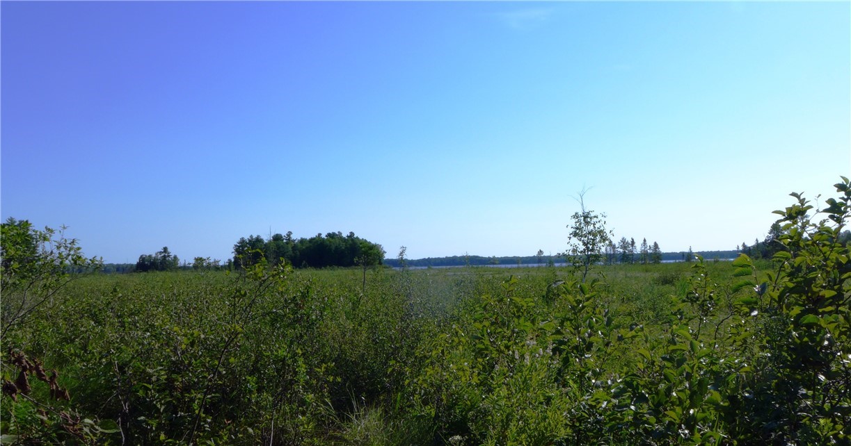 0 Brandt Road Property Photo 2