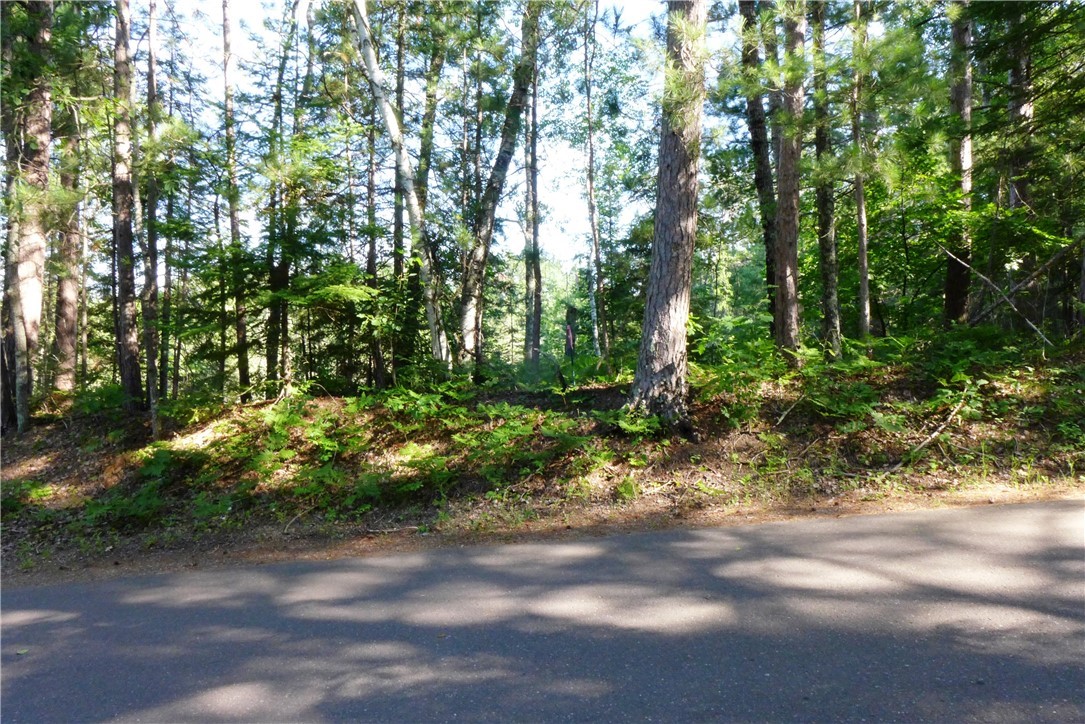 0 Brandt Road Property Photo 4