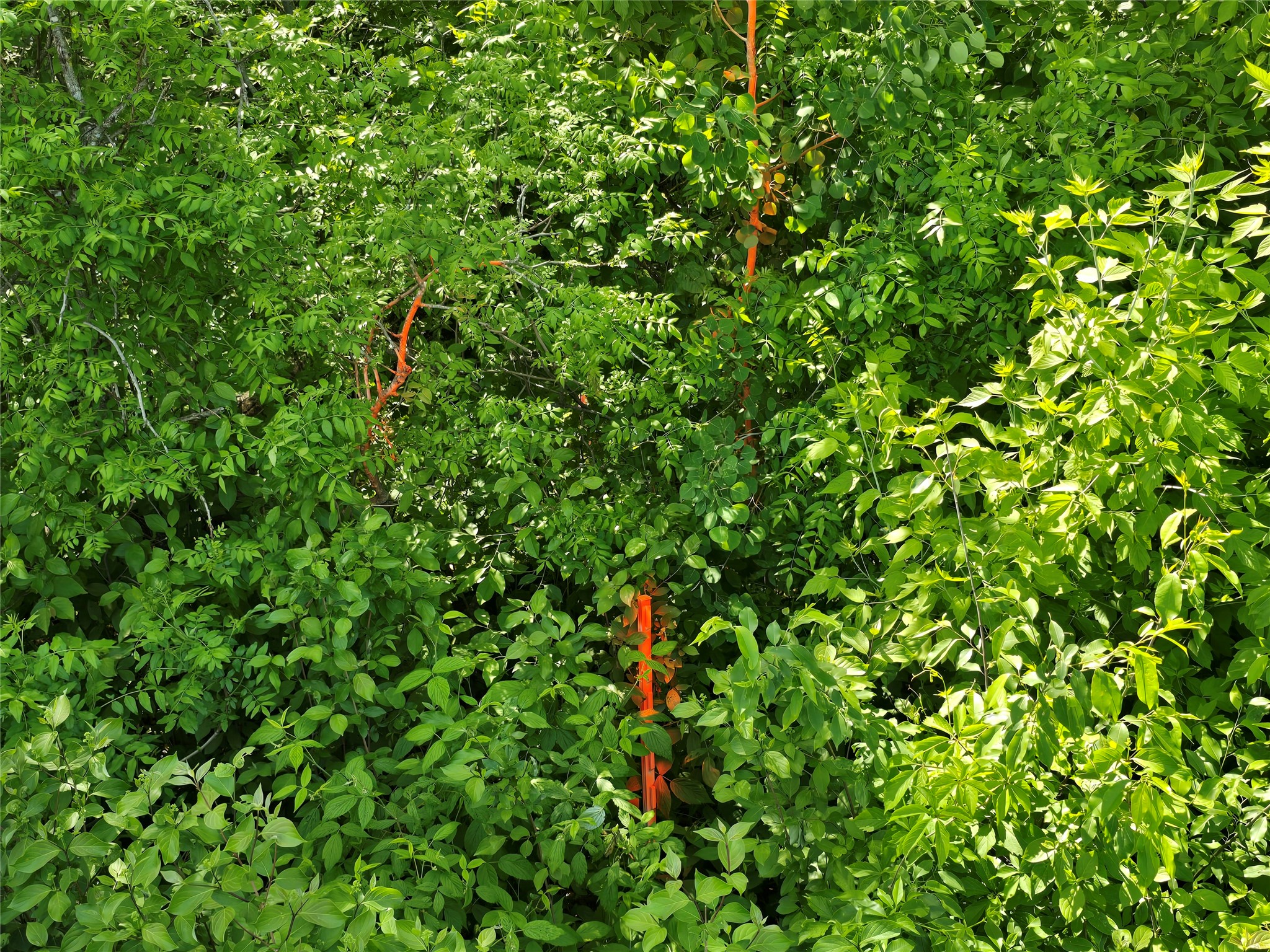 00 27th Street Property Photo 10